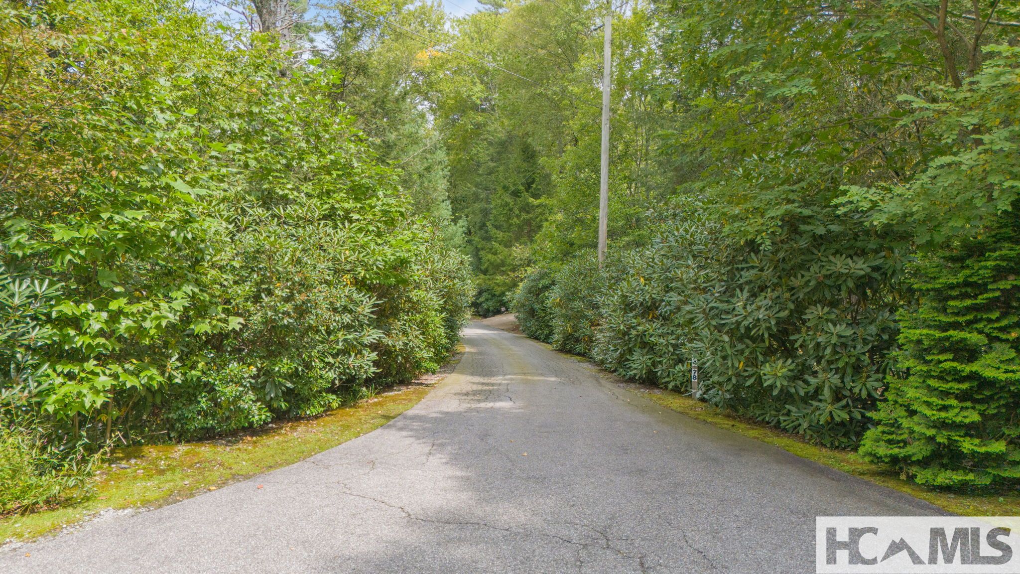 0 Sherwood Forest Road Highlands, NC 28741 - Photo 5 of 21 Gallery Image 5