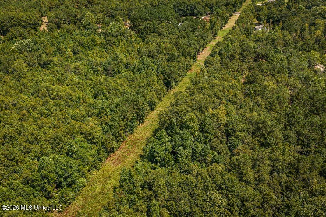 Joe Booth Road Taylorsville, MS 39168 - Photo 31 of 34 DJI_20260813120901_0609_D