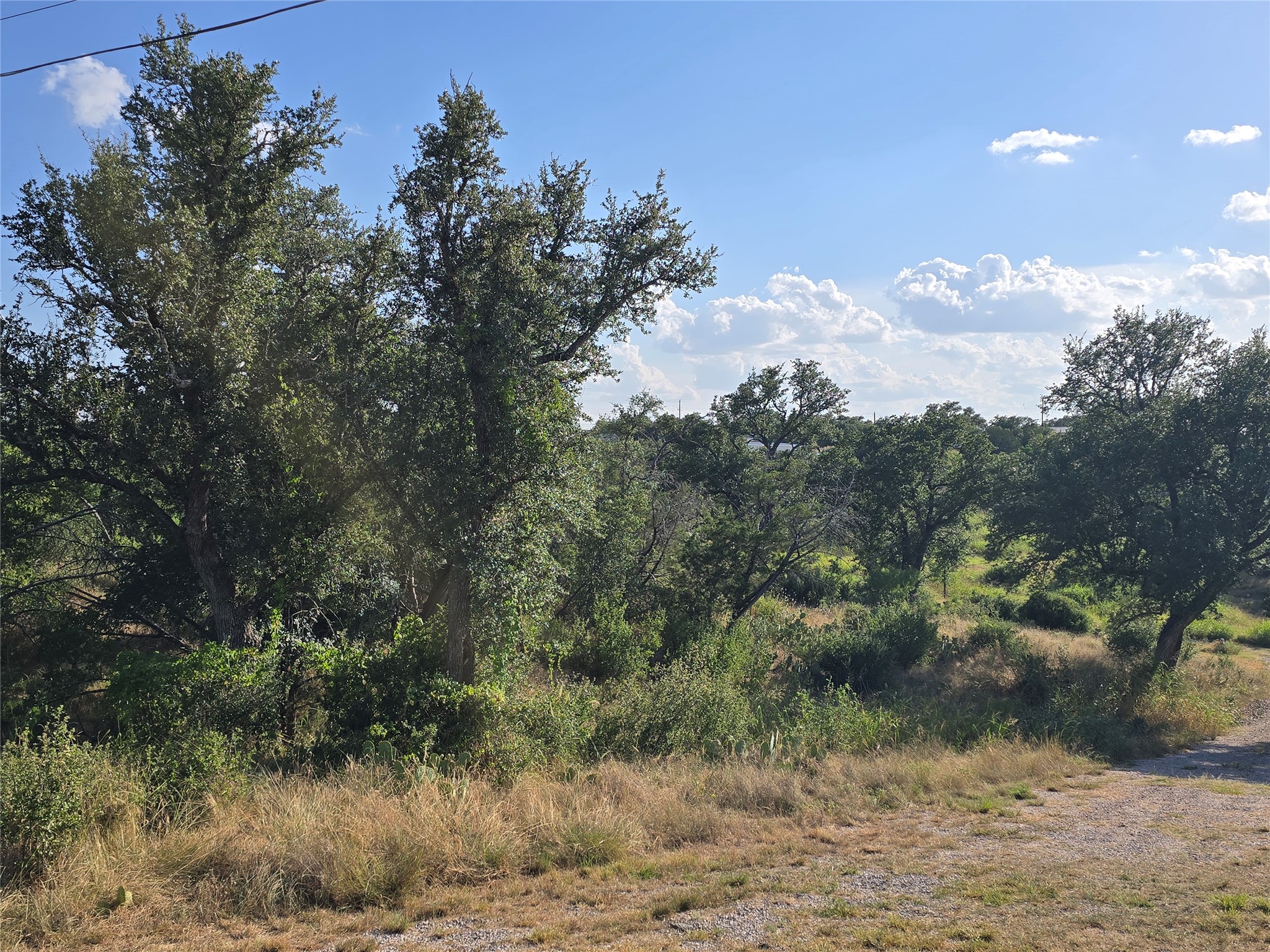 Tbd Elm Road Burnet, TX 78611 - Photo 2 of 6 a view of a dry yard with trees