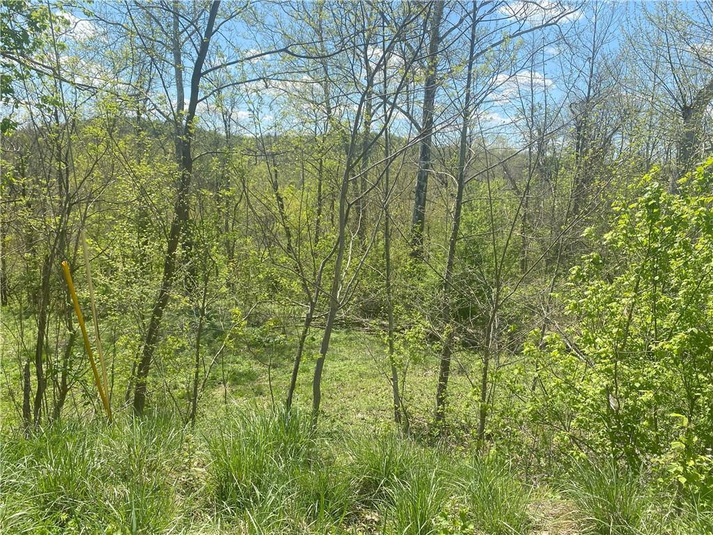 Lot 2 Turner Valley Road North Huntingdon, PA 15642 - Photo 2 of 8 Gallery Image 2