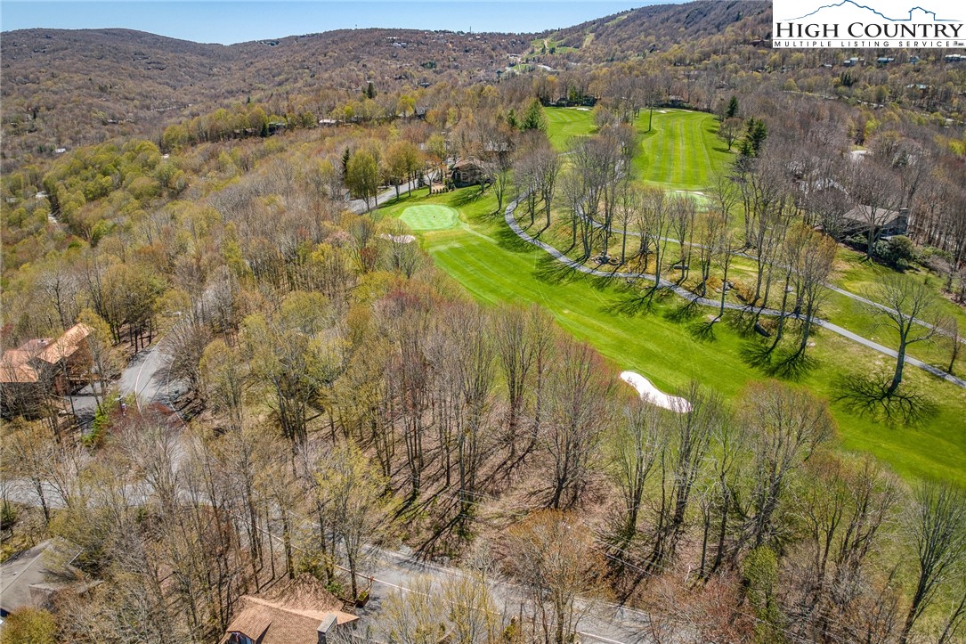201 Grassy Gap Loop Road Beech Mountain, NC 28604 - Photo 14 of 16 a view of a city
