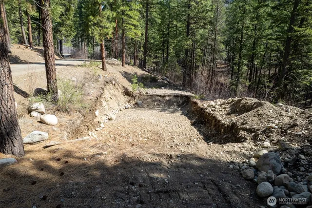 a view of outdoor space with trees