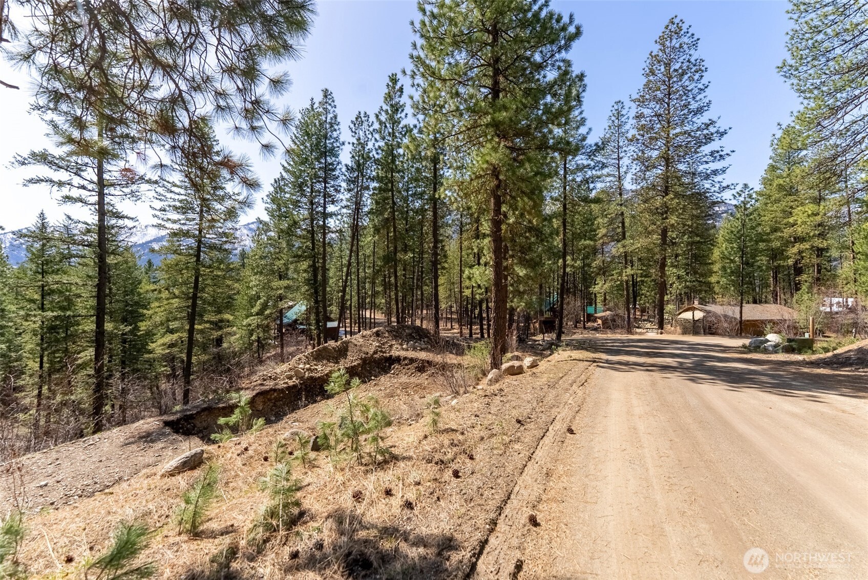 94 Homestead Road Winthrop, WA 98862 - Photo 11 of 26 a view of a yard with trees in the background