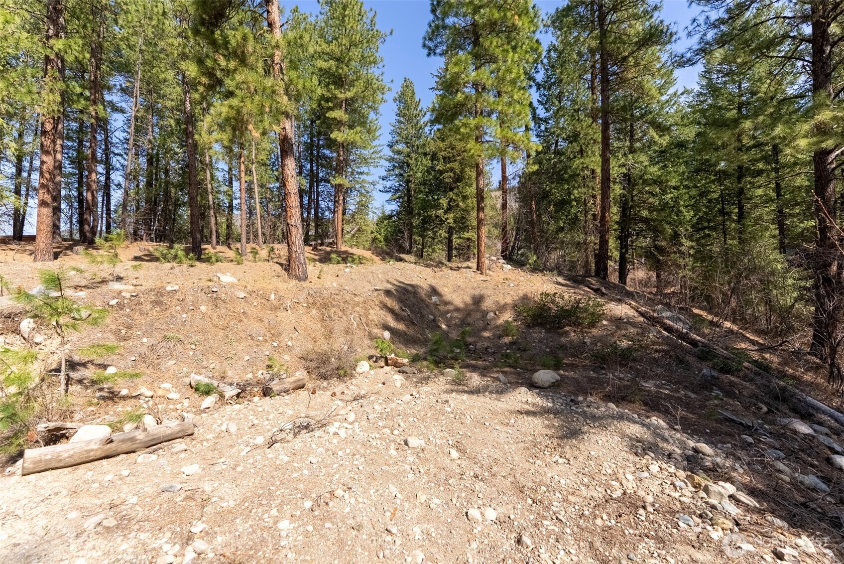 94 Homestead Road Winthrop, WA 98862 - Photo 12 of 26 a view of snow on the side of a road
