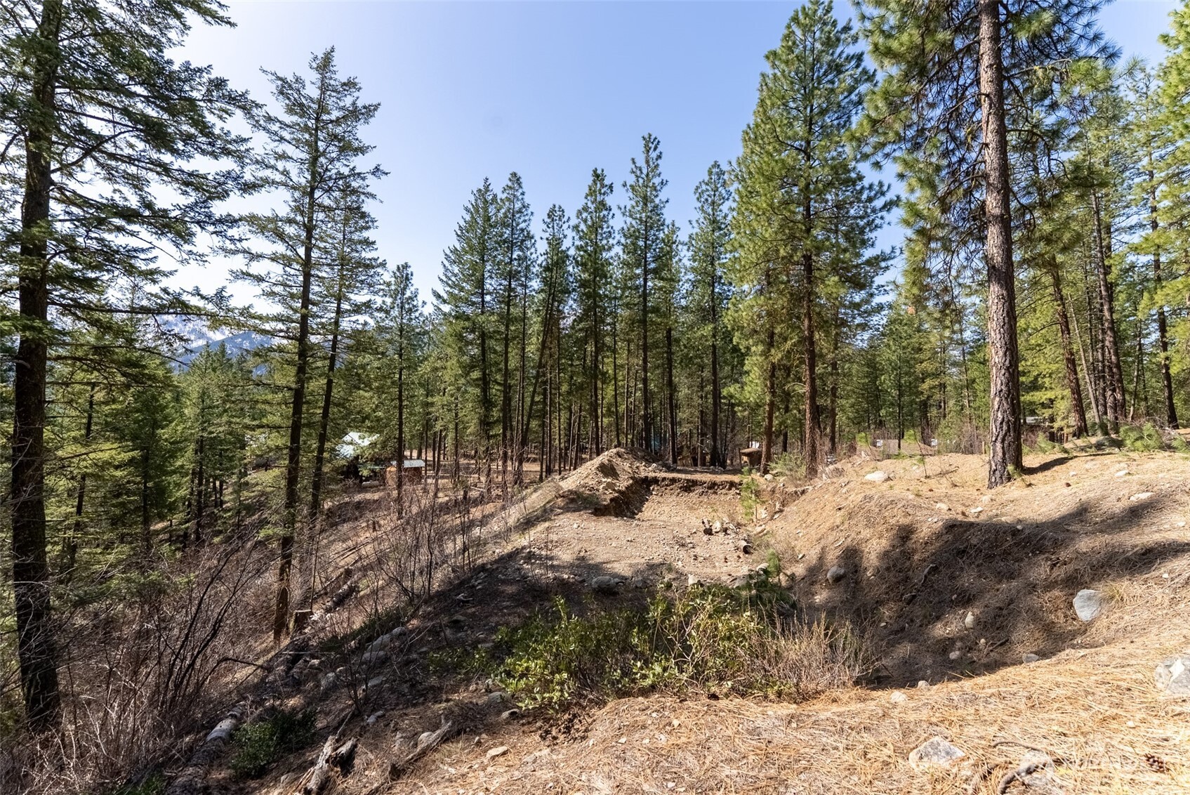 94 Homestead Road Winthrop, WA 98862 - Photo 13 of 26 a view of a snow with trees in the background