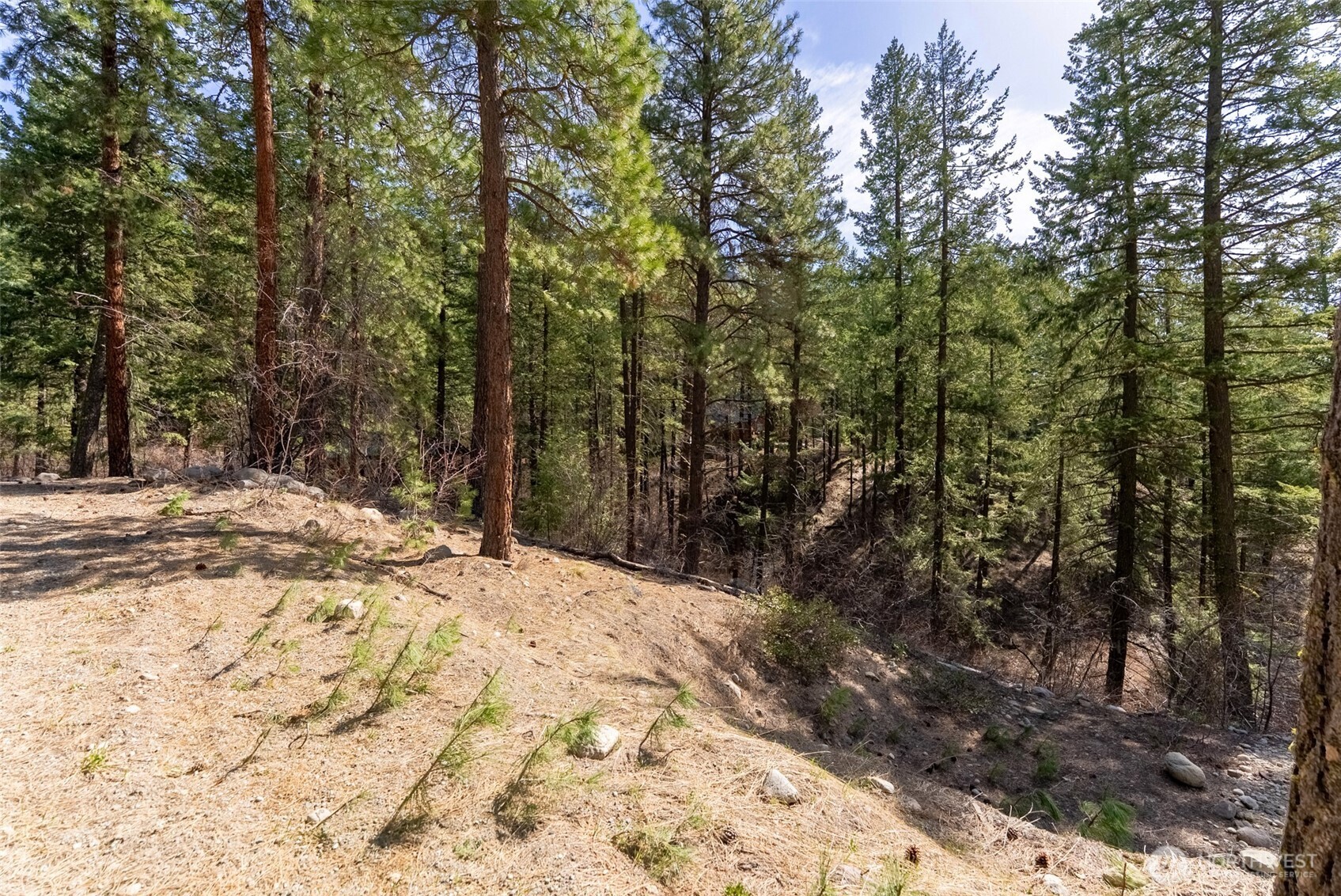 94 Homestead Road Winthrop, WA 98862 - Photo 14 of 26 a view of a yard covered in snow