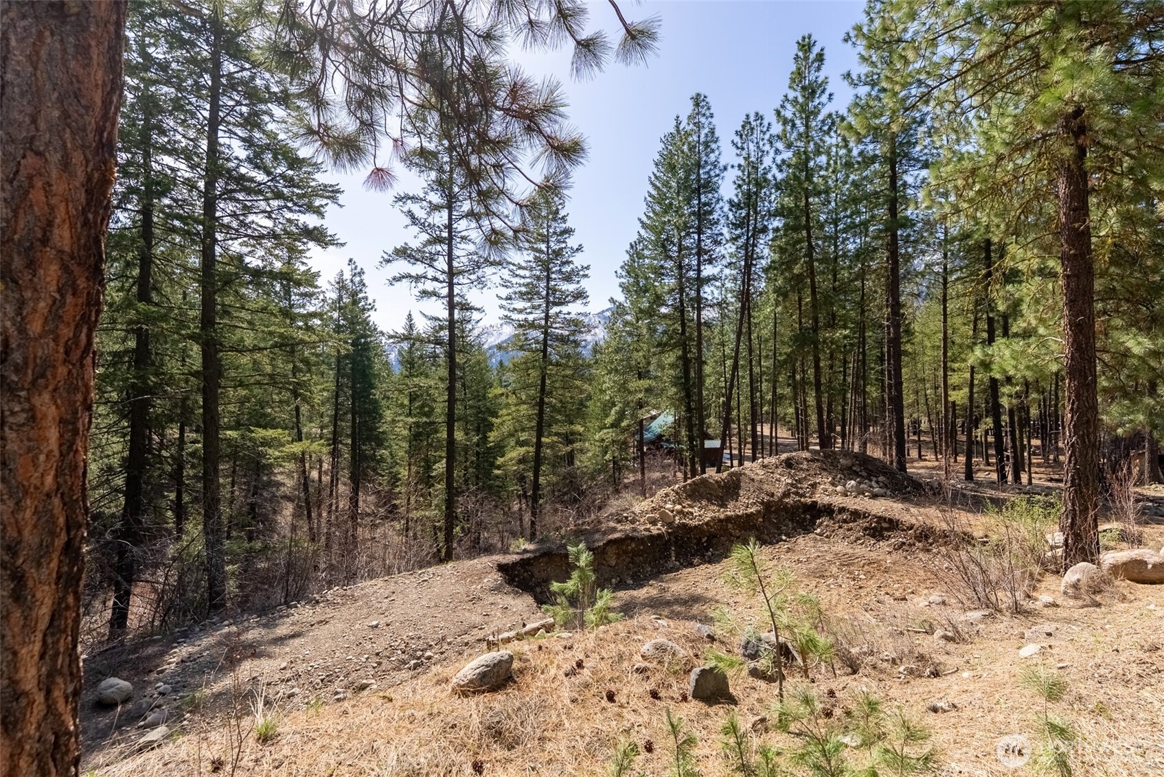 94 Homestead Road Winthrop, WA 98862 - Photo 15 of 26 a view of outdoor space with trees