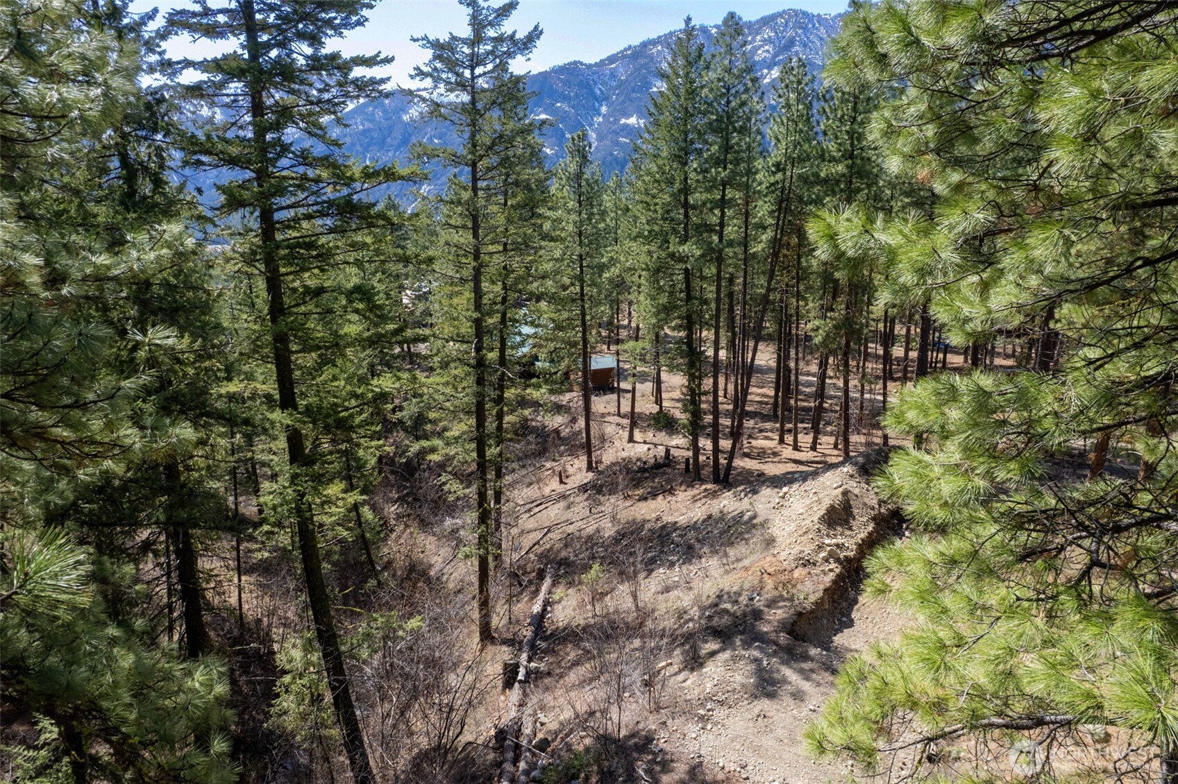 94 Homestead Road Winthrop, WA 98862 - Photo 16 of 26 a view of outdoor space and a yard