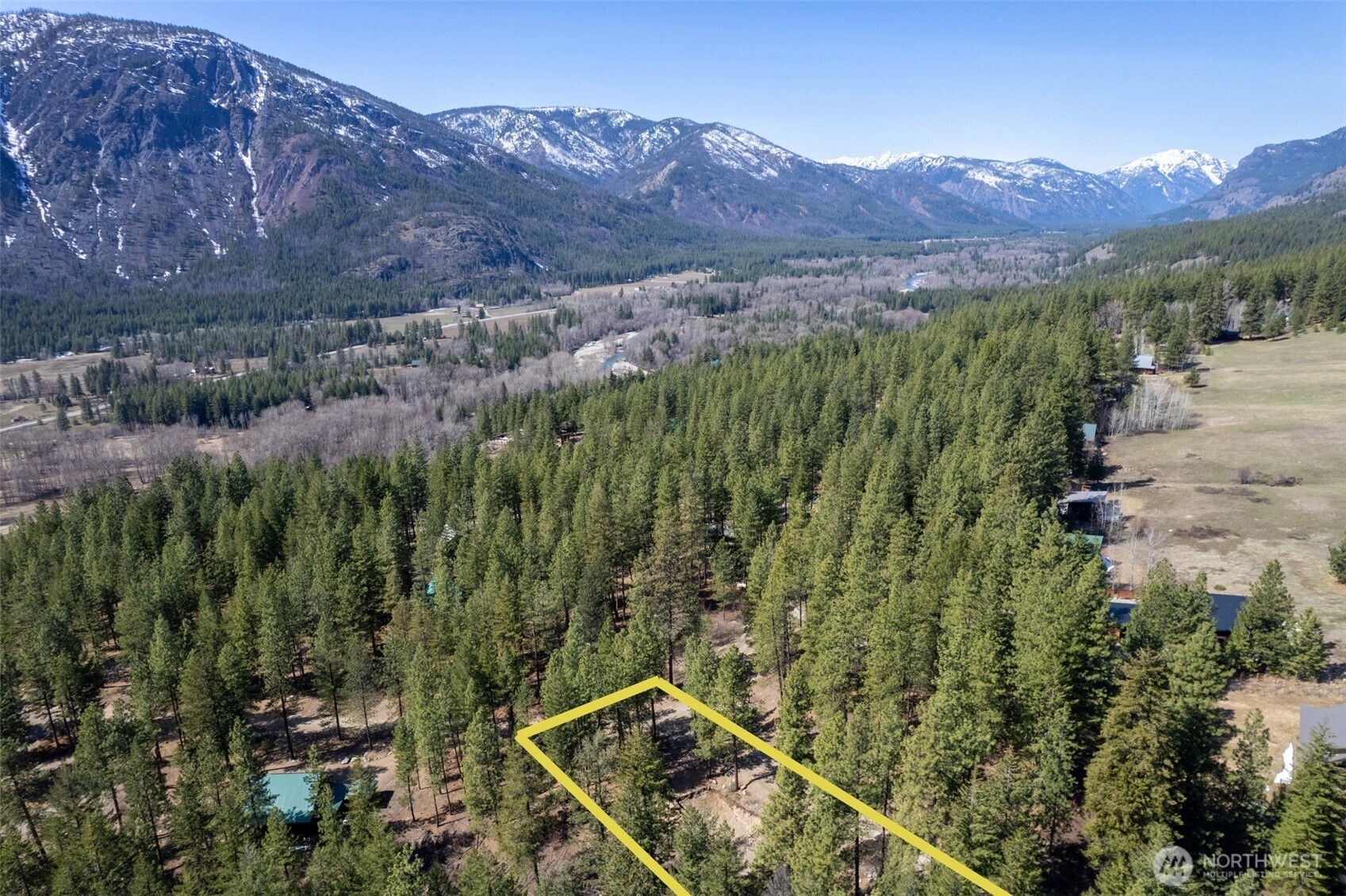94 Homestead Road Winthrop, WA 98862 - Photo 19 of 26 a view of a forest with a mountain