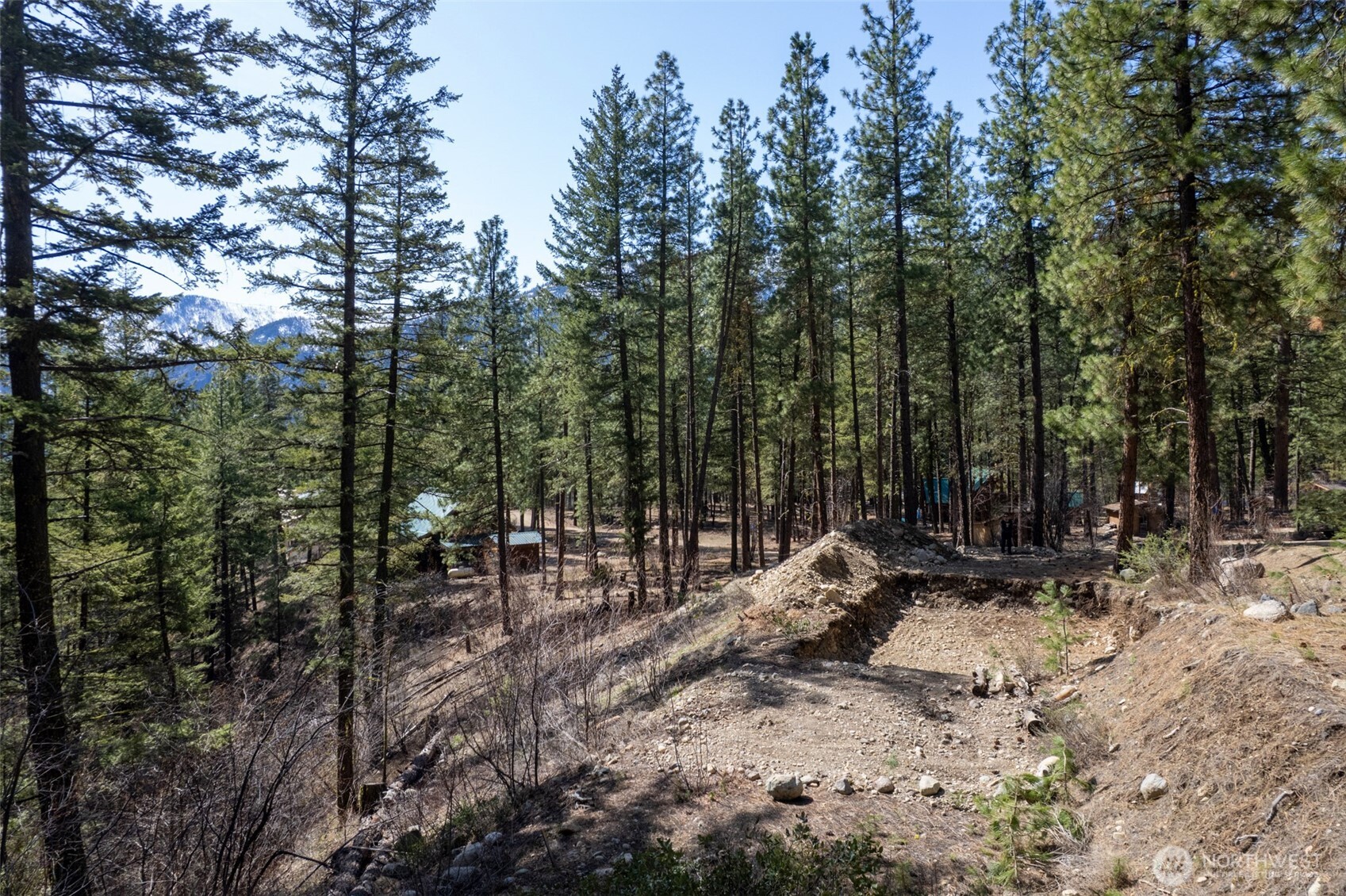 94 Homestead Road Winthrop, WA 98862 - Photo 2 of 26 a view of outdoor space with trees