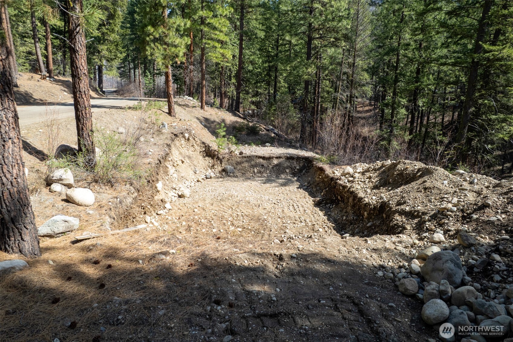 94 Homestead Road Winthrop, WA 98862 - Photo 2 of 26 a view of outdoor space with trees