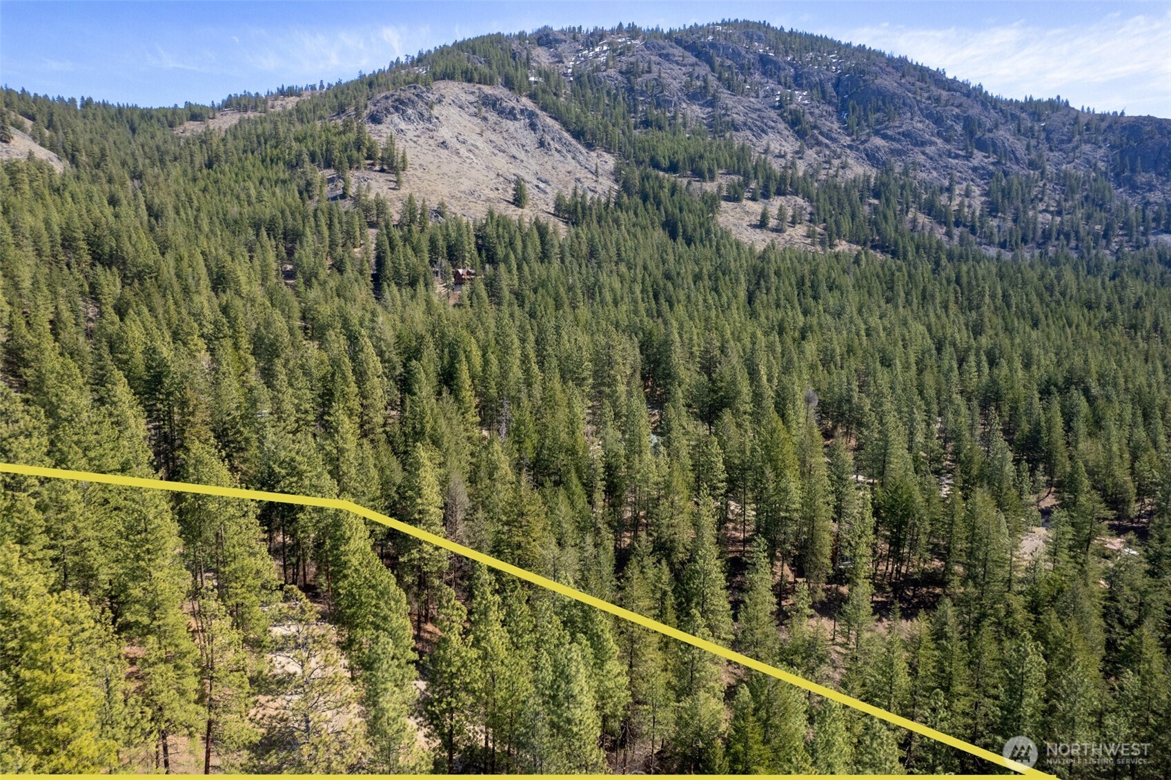 94 Homestead Road Winthrop, WA 98862 - Photo 21 of 26 a view of a forest from a window
