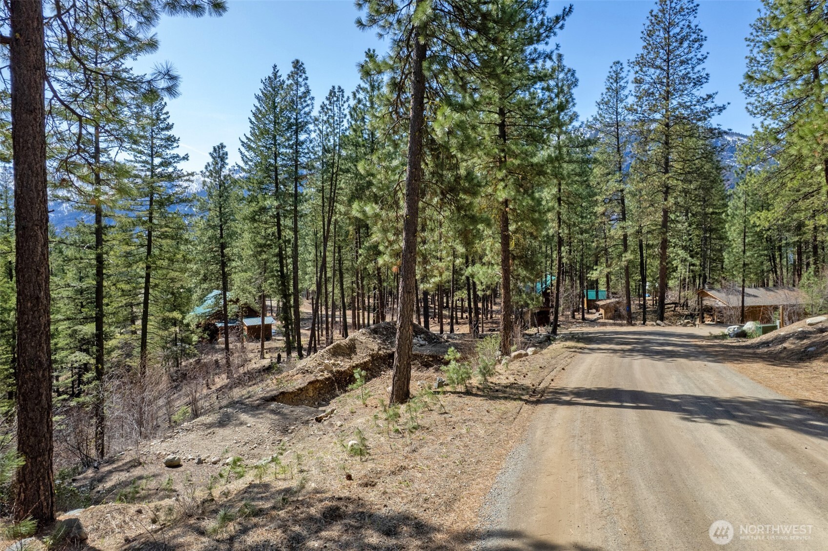 94 Homestead Road Winthrop, WA 98862 - Photo 4 of 26 a view of a yard with trees