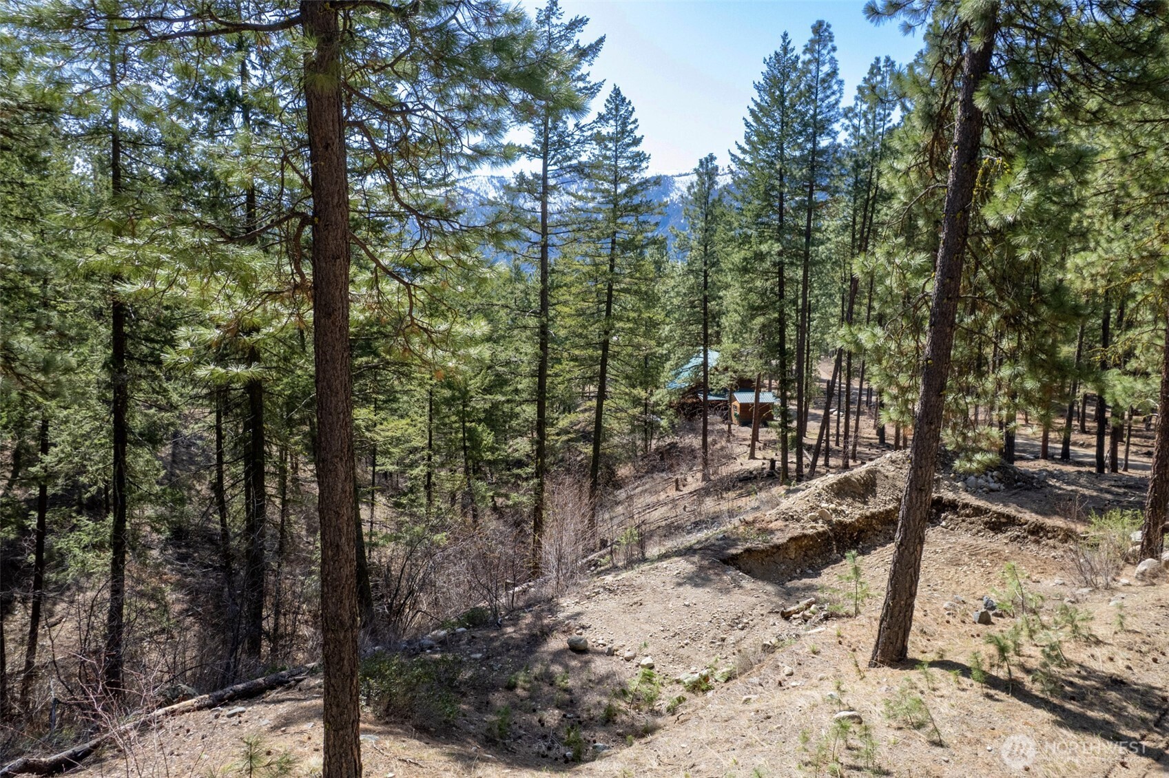 94 Homestead Road Winthrop, WA 98862 - Photo 5 of 26 a view of outdoor space with lots of trees