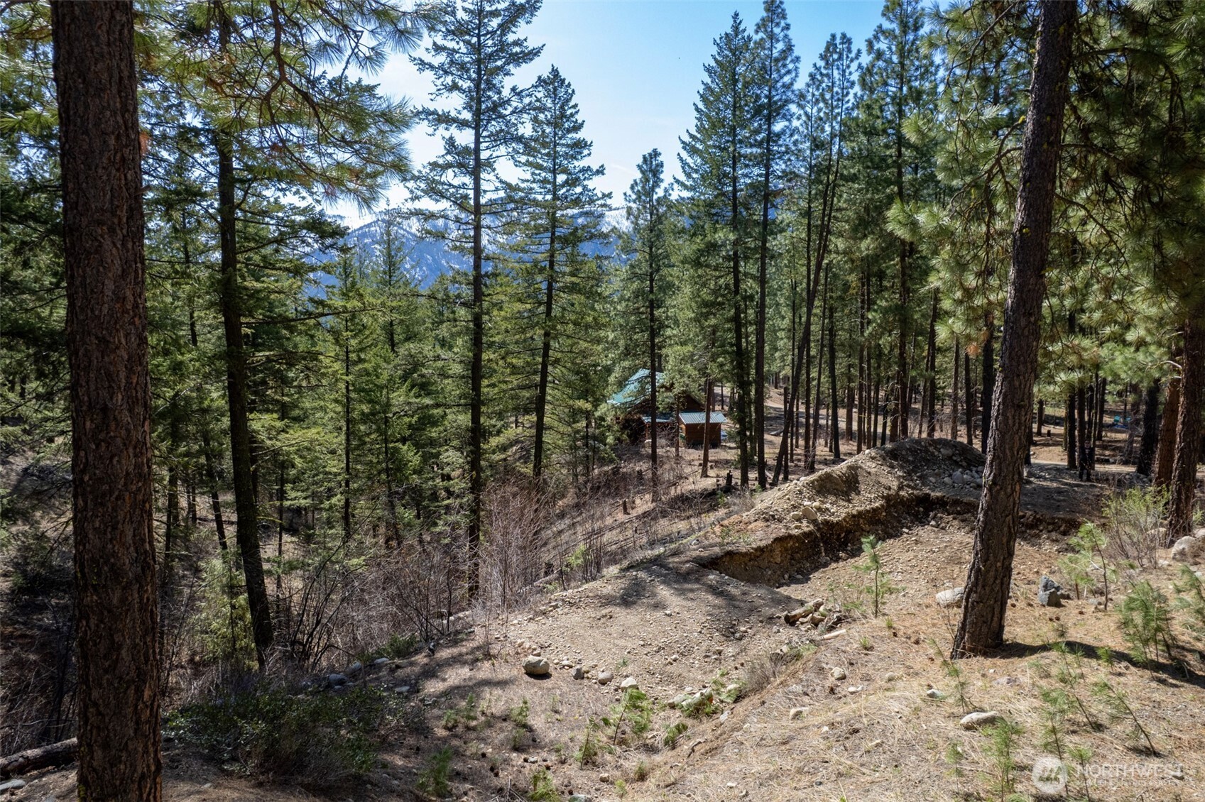 94 Homestead Road Winthrop, WA 98862 - Photo 7 of 26 a view of outdoor space with lots of trees
