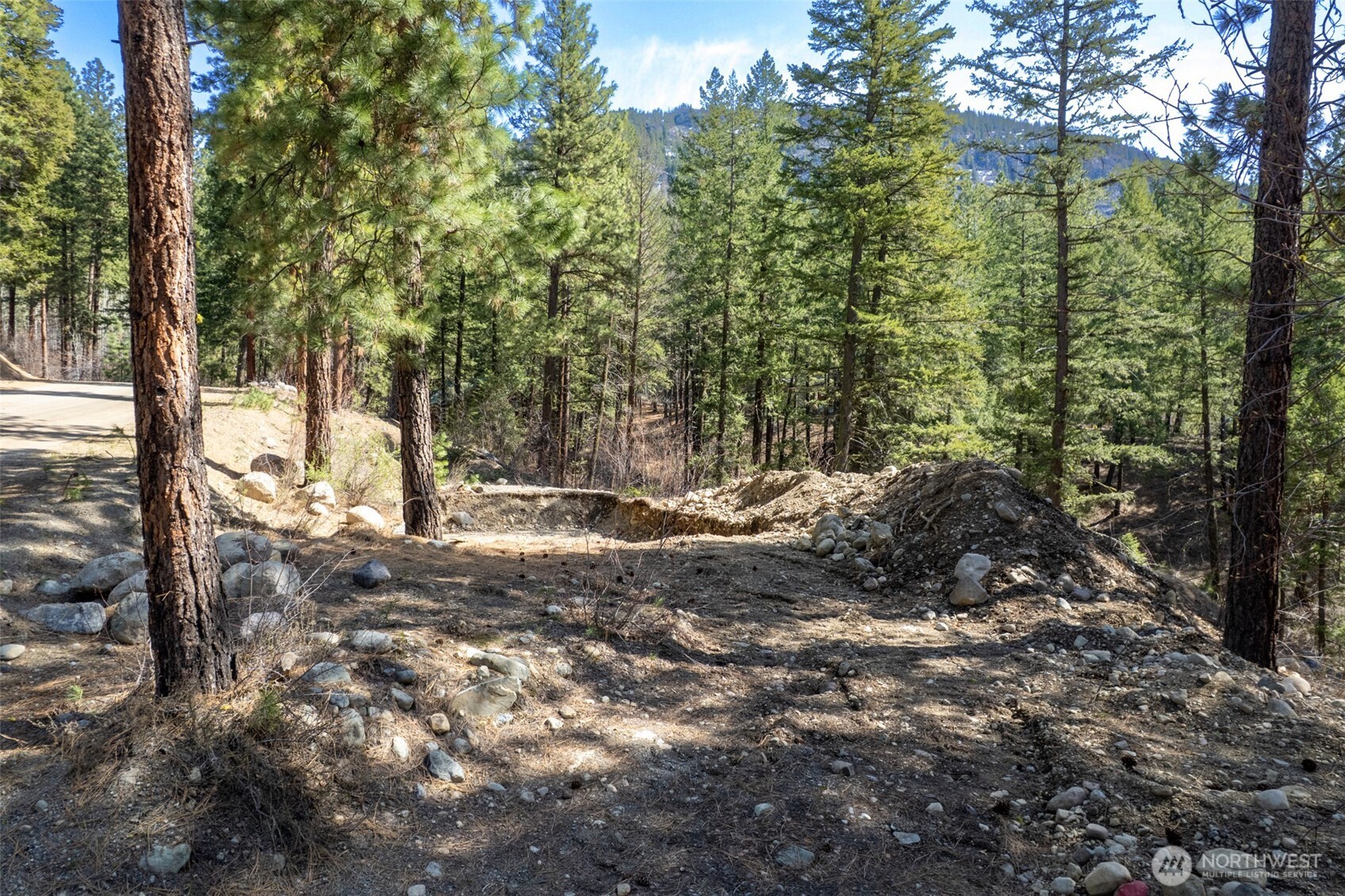 94 Homestead Road Winthrop, WA 98862 - Photo 8 of 26 a view of a yard with plants and trees