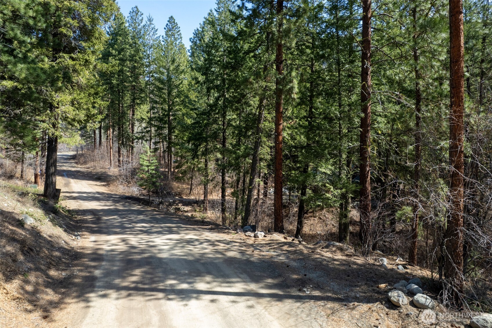 94 Homestead Road Winthrop, WA 98862 - Photo 9 of 26 a view of a yard with trees