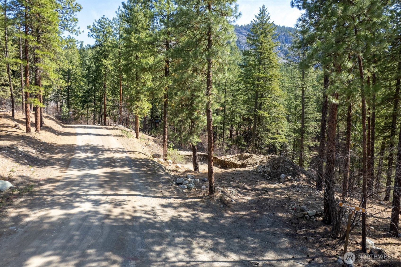 94 Homestead Road Winthrop, WA 98862 - Photo 10 of 26 a view of a forest with trees