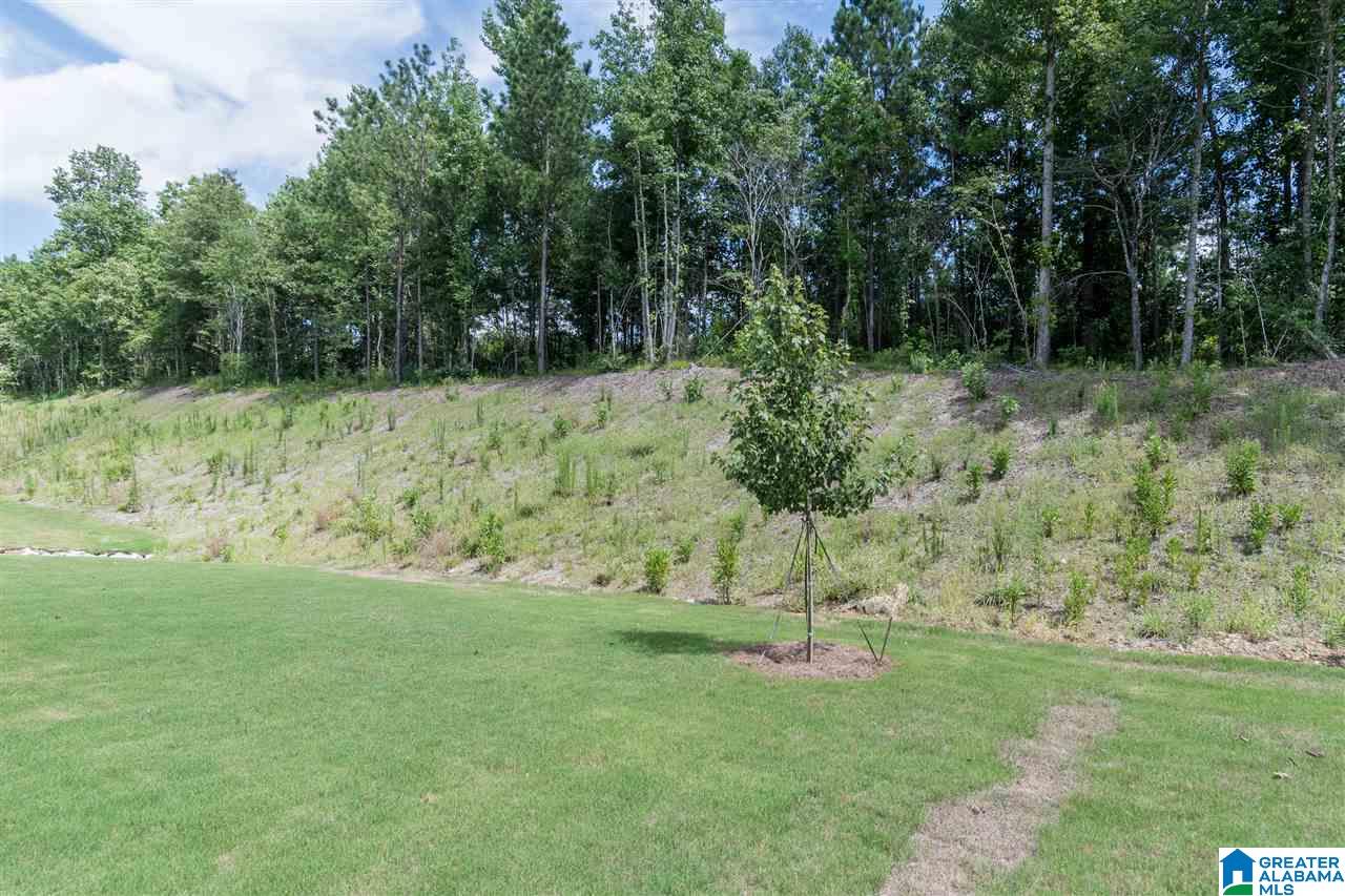 486 Ballantrae Road Pelham, AL 35124 - Photo 48 of 50