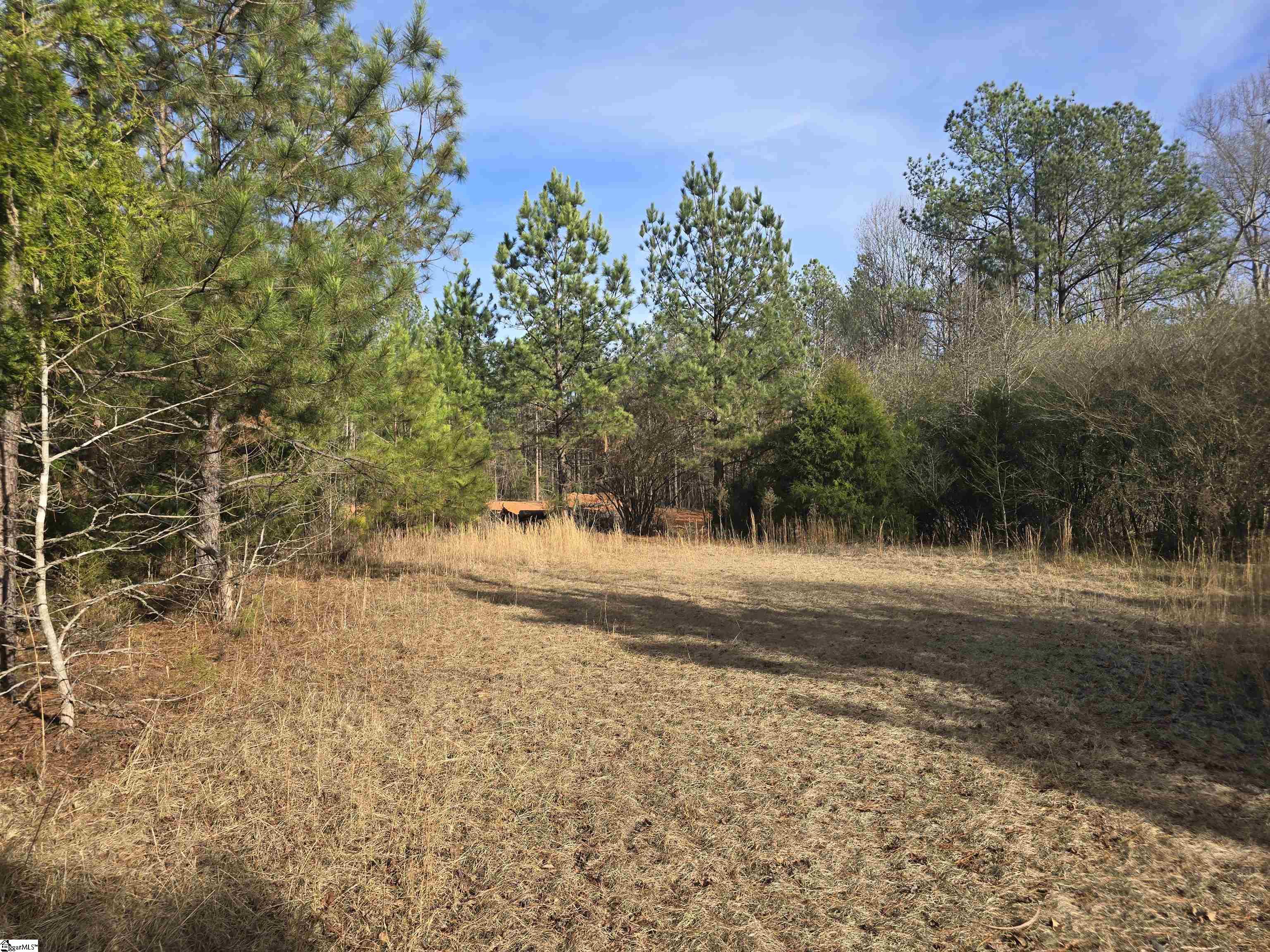 2476 Stewart Dairy Road Fountain Inn, SC 29644 - Photo 11 of 11 Gallery Image 11