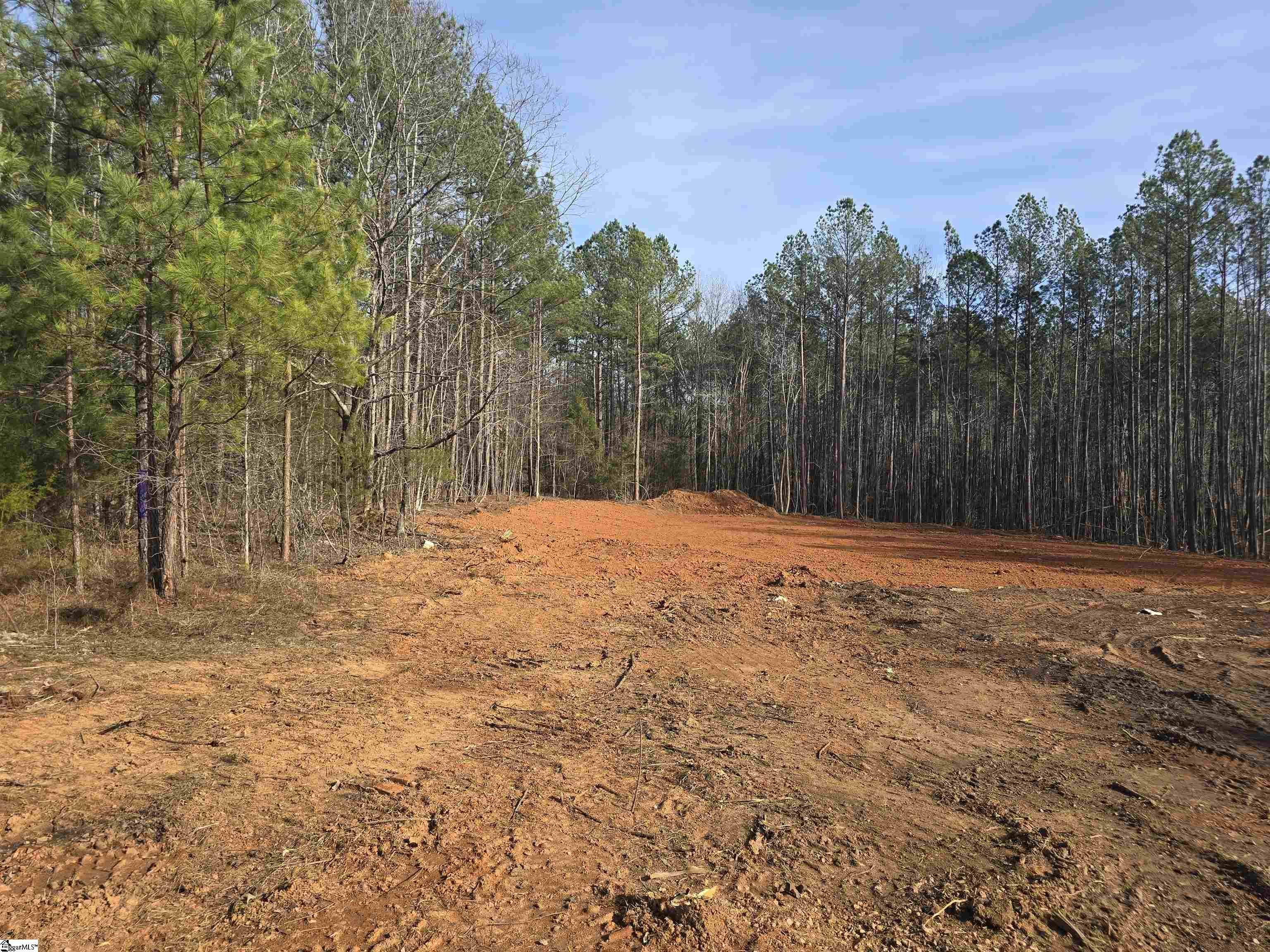 2476 Stewart Dairy Road Fountain Inn, SC 29644 - Photo 2 of 11 Gallery Image 2