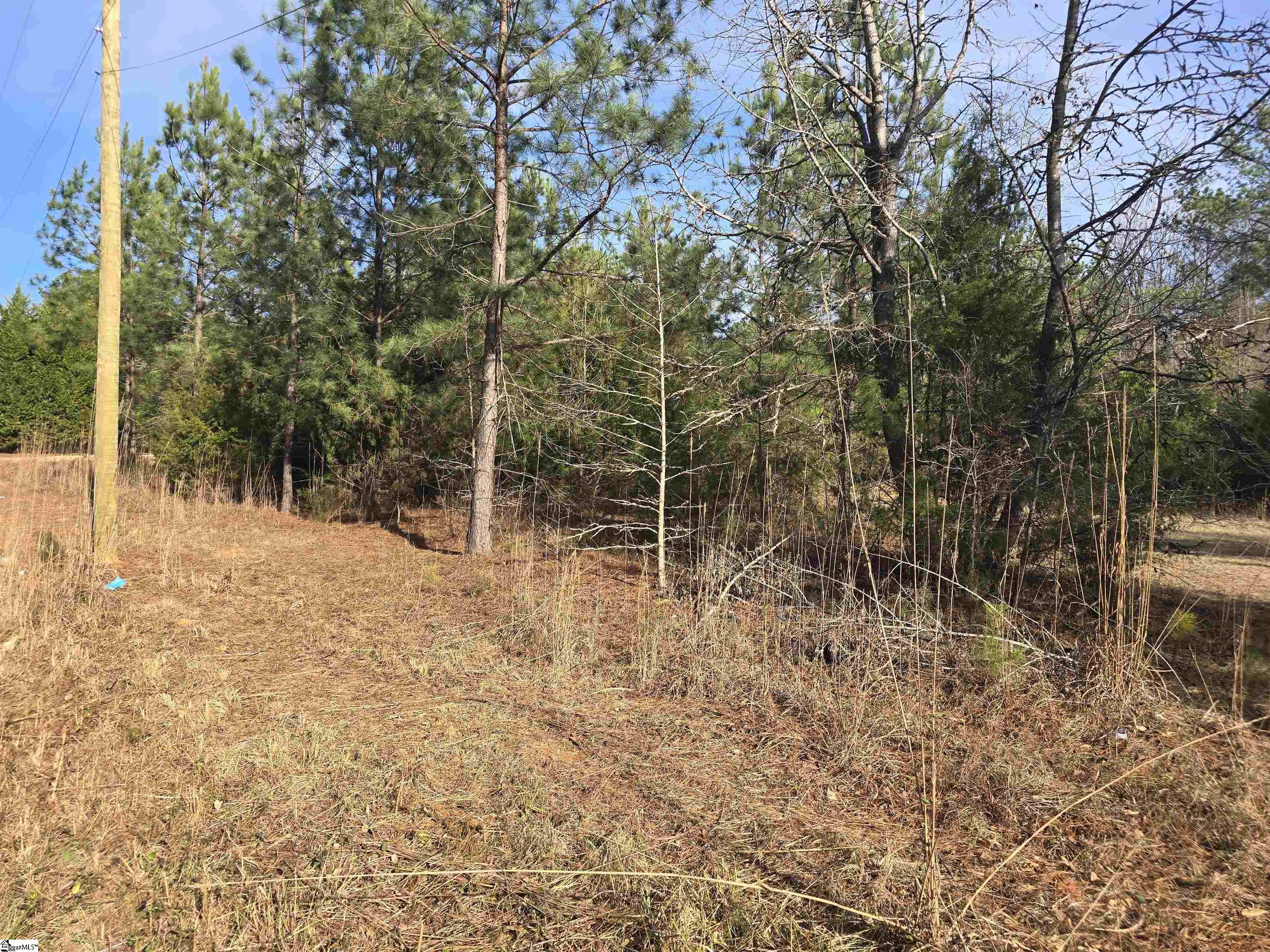 2476 Stewart Dairy Road Fountain Inn, SC 29644 - Photo 10 of 11 Gallery Image 10