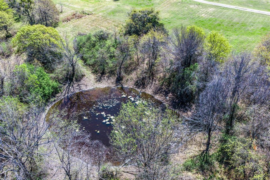 1536 New Hope Road Boyd, TX 76023 - Photo 8 of 40 a view of a yard with plants and large trees