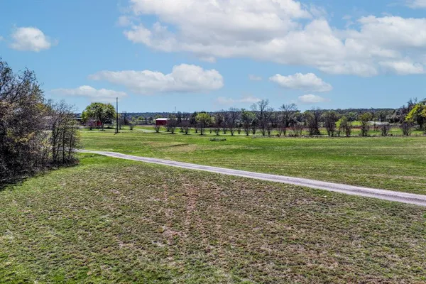 a view of a garden with a pathway