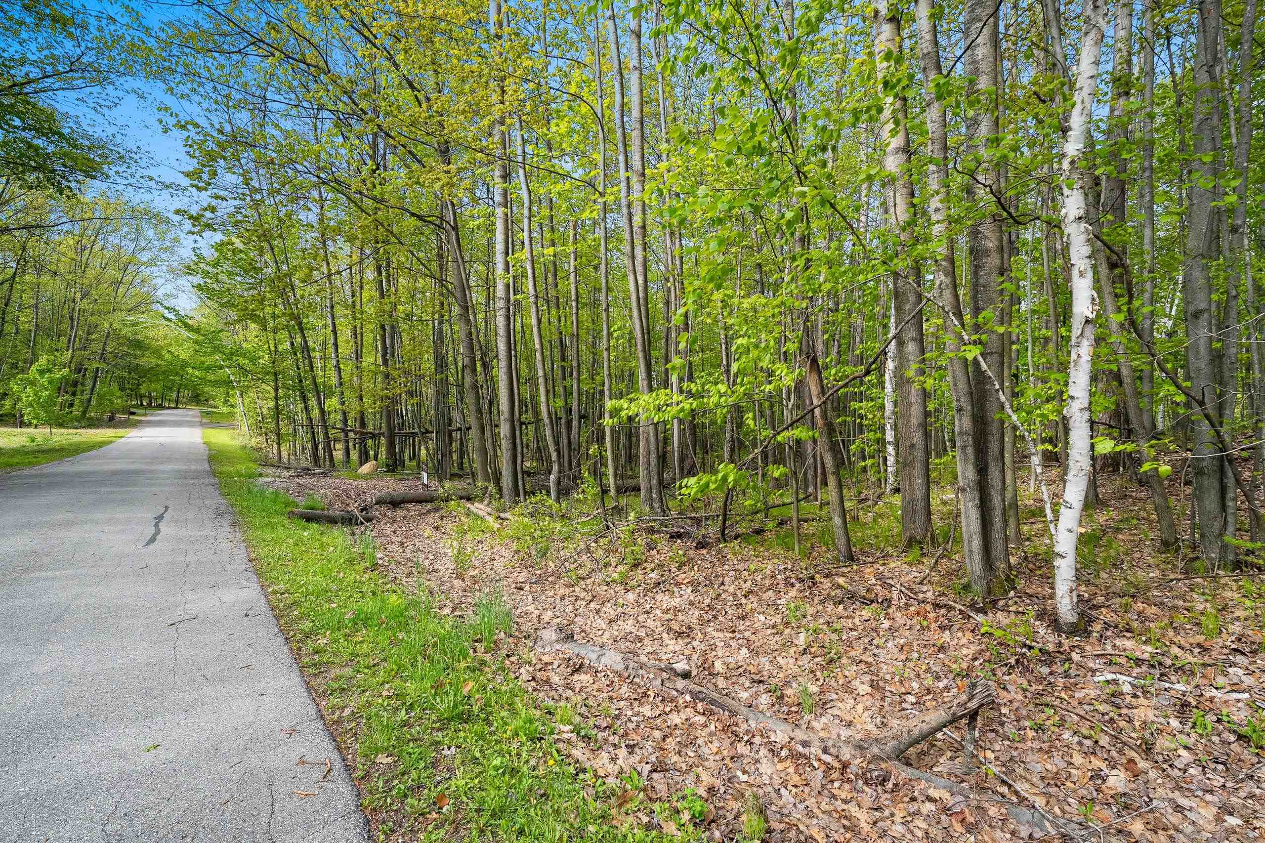 Birchwood Lane, Unit 3 Suring, WI 54174 - Photo 9 of 20