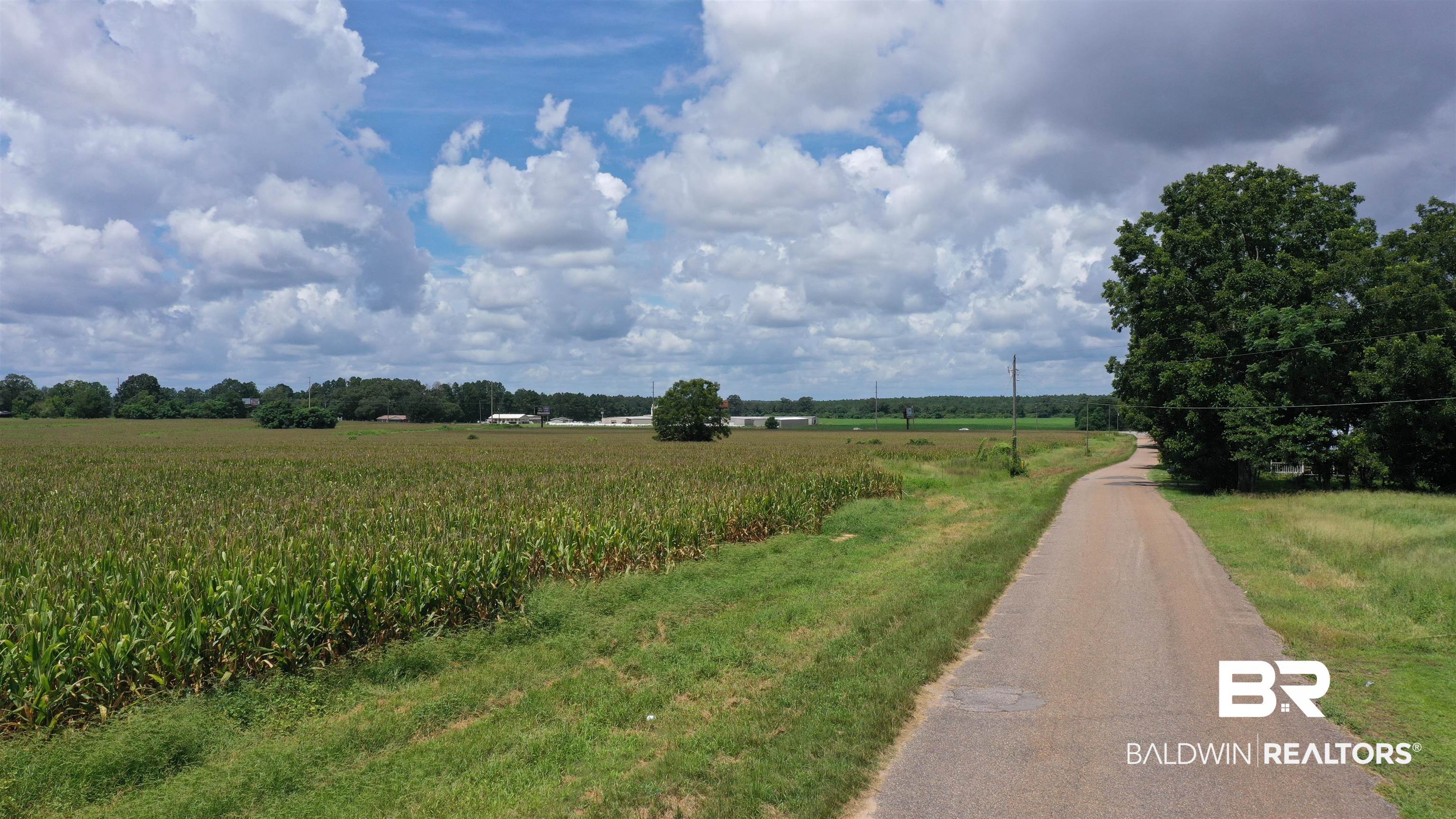 3 Highway 21 Atmore, AL 36502 - Photo 5 of 18 View of road featuring a rural view