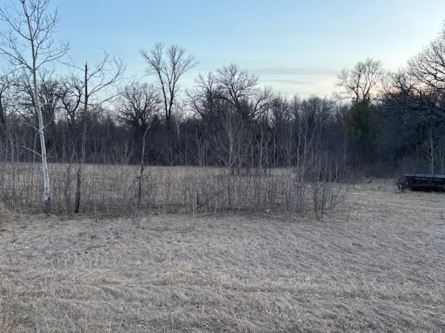 33903 County Road 4 St. Joseph, MN 56374 - Photo 4 of 4