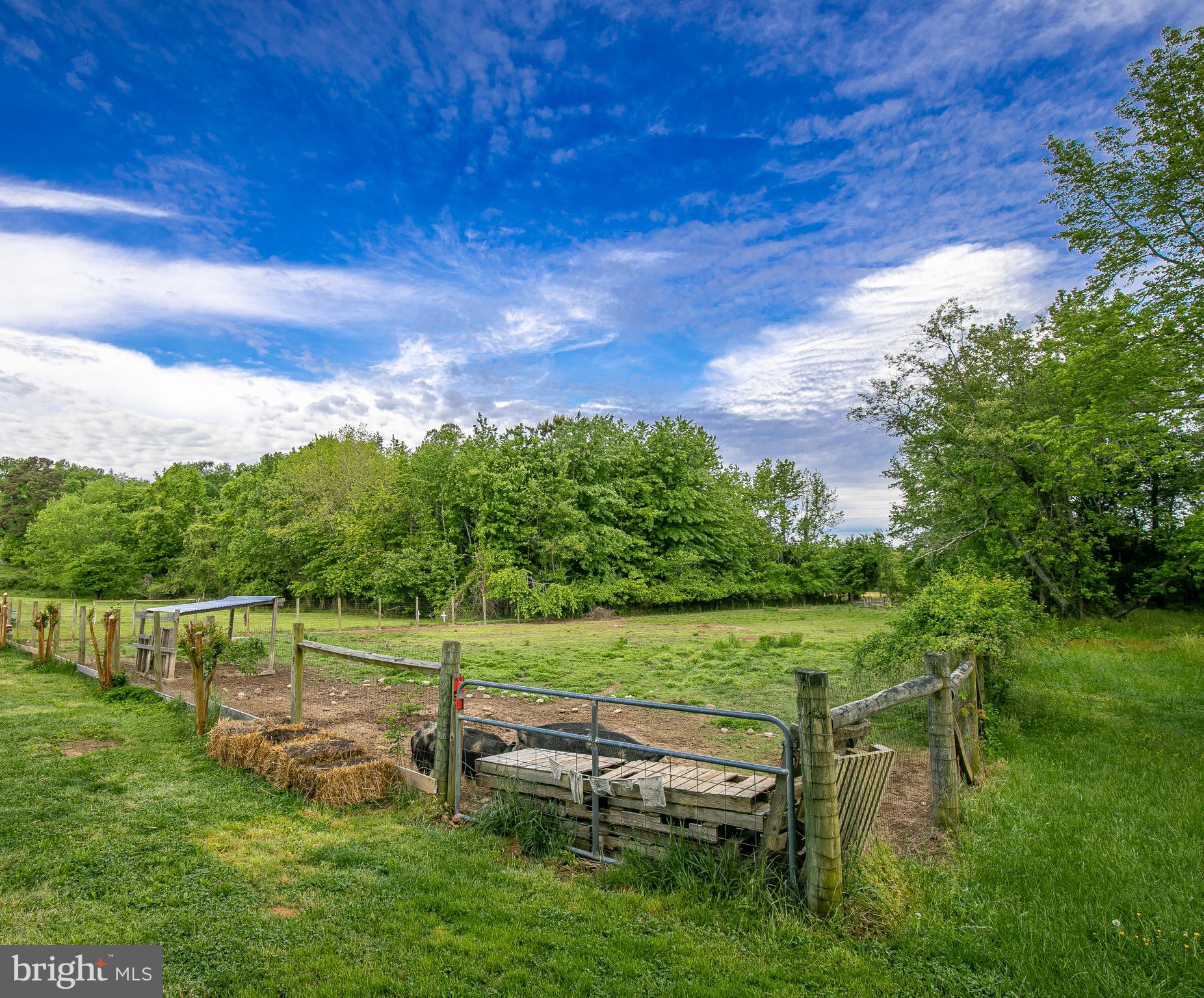 4915 Bicknell Road Marbury, MD 20658 - Photo 25 of 30 Fenced pasture