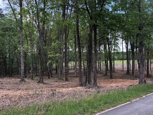 Lot 19 Mcswain Road Chesnee, SC 29323 - Photo 1 of 4