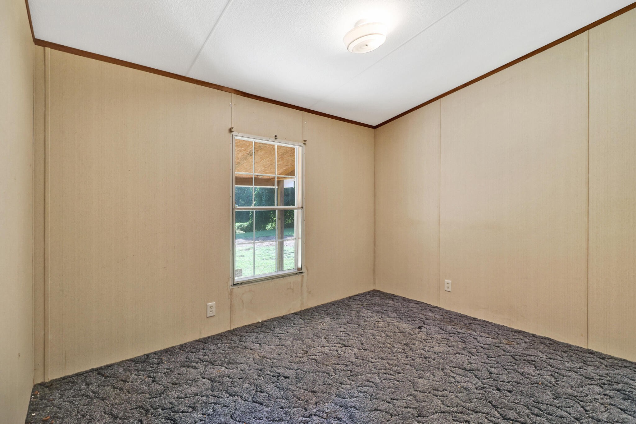 3702 Toestring Valley Road Spring City, TN 37381 - Photo 26 of 28 an empty room with windows