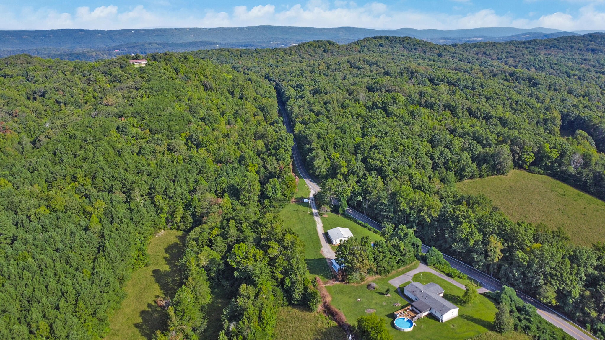 3702 Toestring Valley Road Spring City, TN 37381 - Photo 10 of 28 a view of a lush green forest with lots of trees