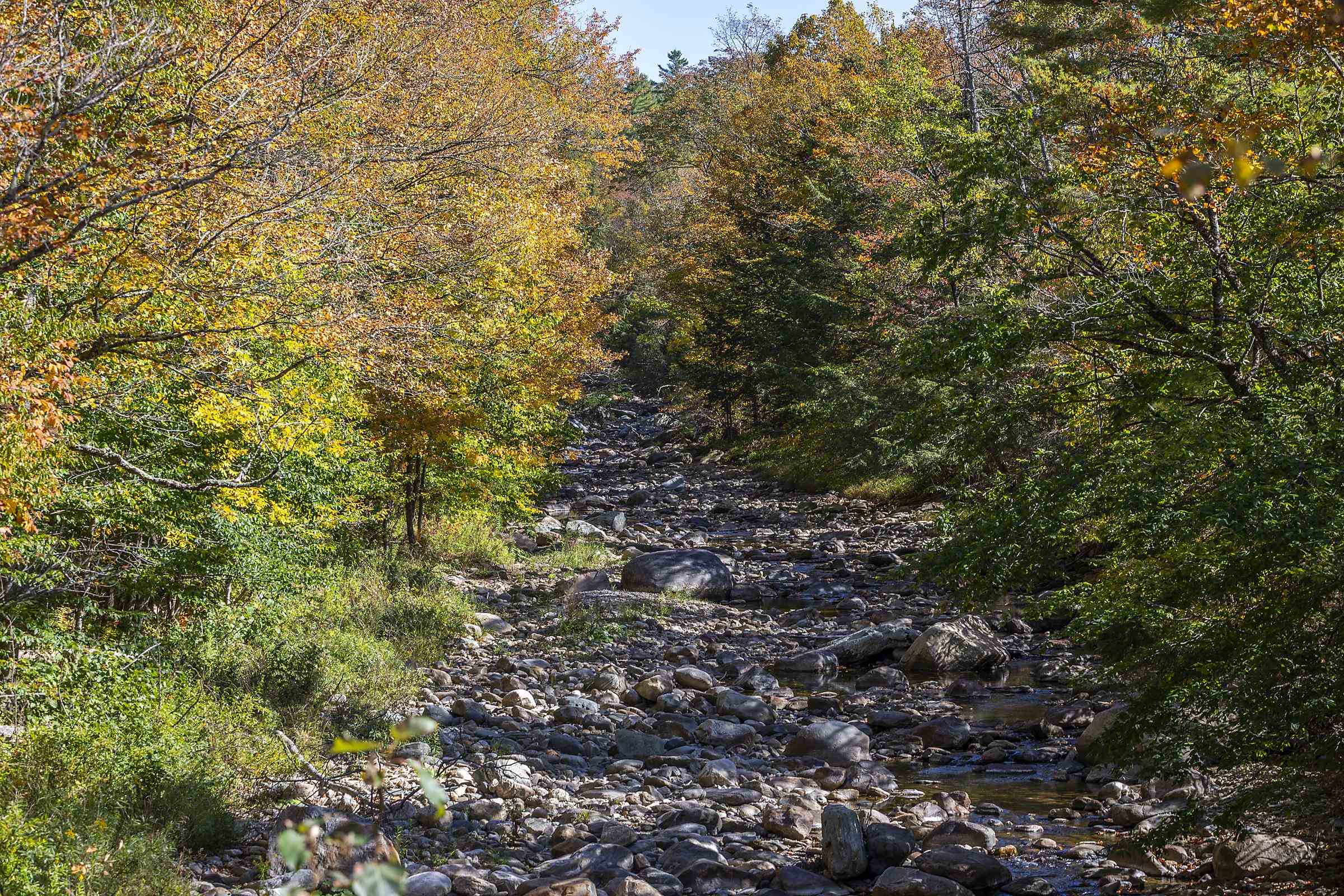 124 Barlow Road Mount Holly, VT 05730 - Photo 52 of 55