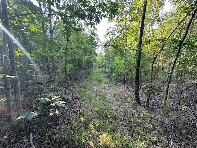 2576 Jessie James Pond Road Wrens, GA 30818 - Photo 24 of 47 IMG_3995