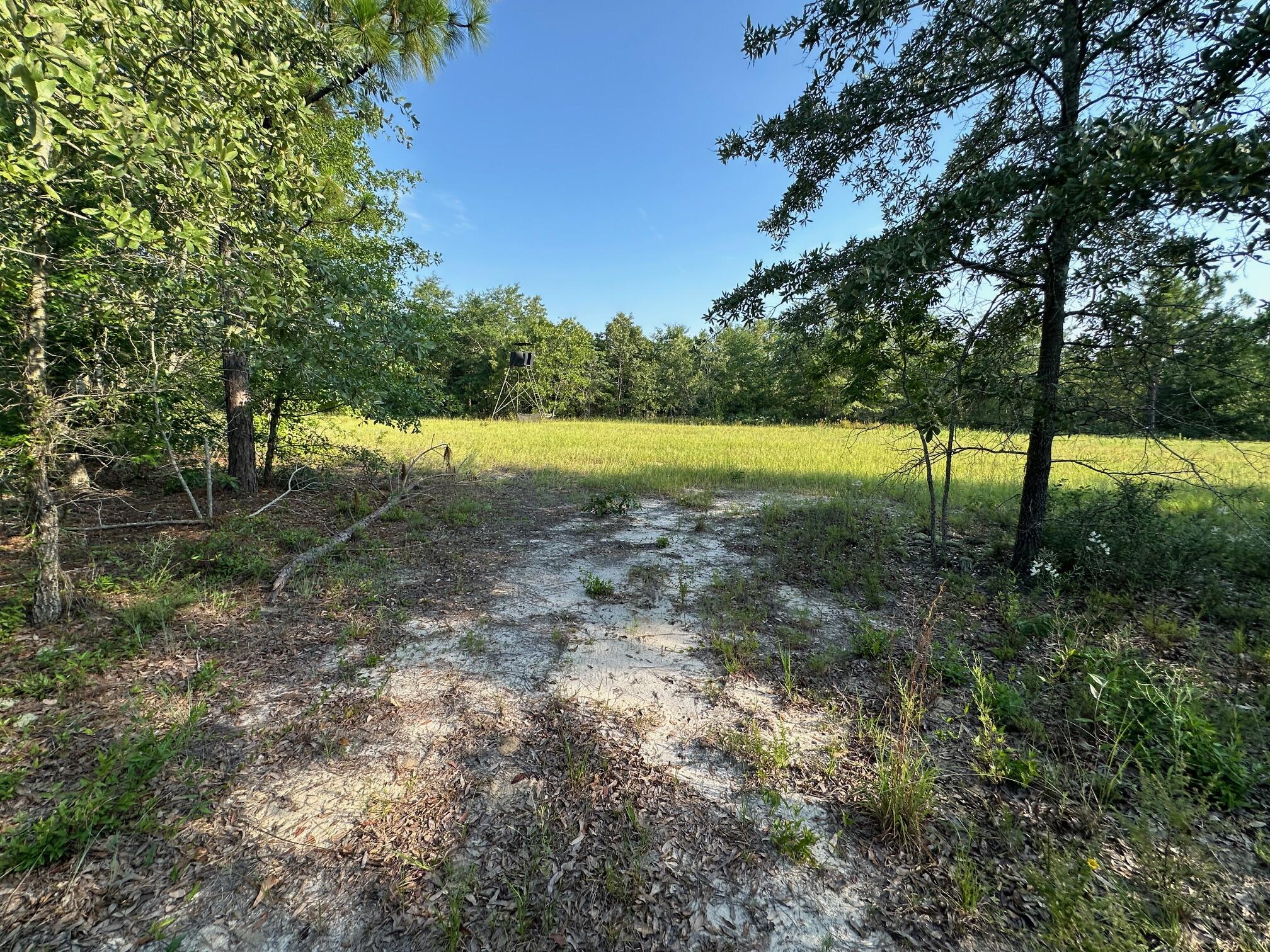 2576 Jessie James Pond Road Wrens, GA 30818 - Photo 36 of 47 IMG_4008