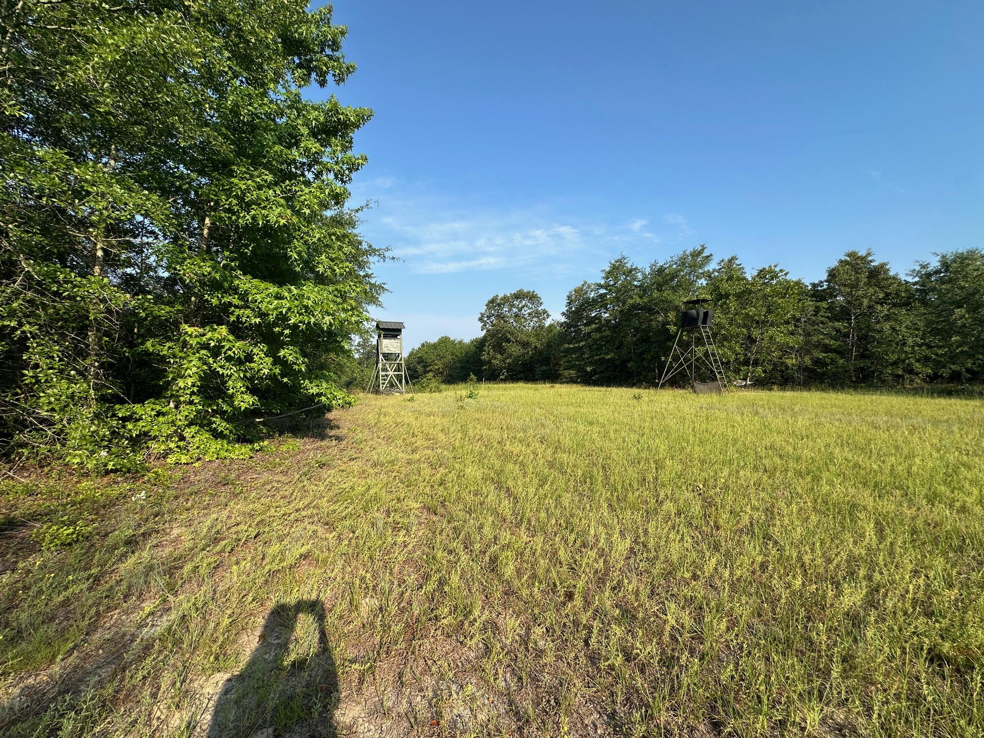 2576 Jessie James Pond Road Wrens, GA 30818 - Photo 38 of 47 IMG_4010