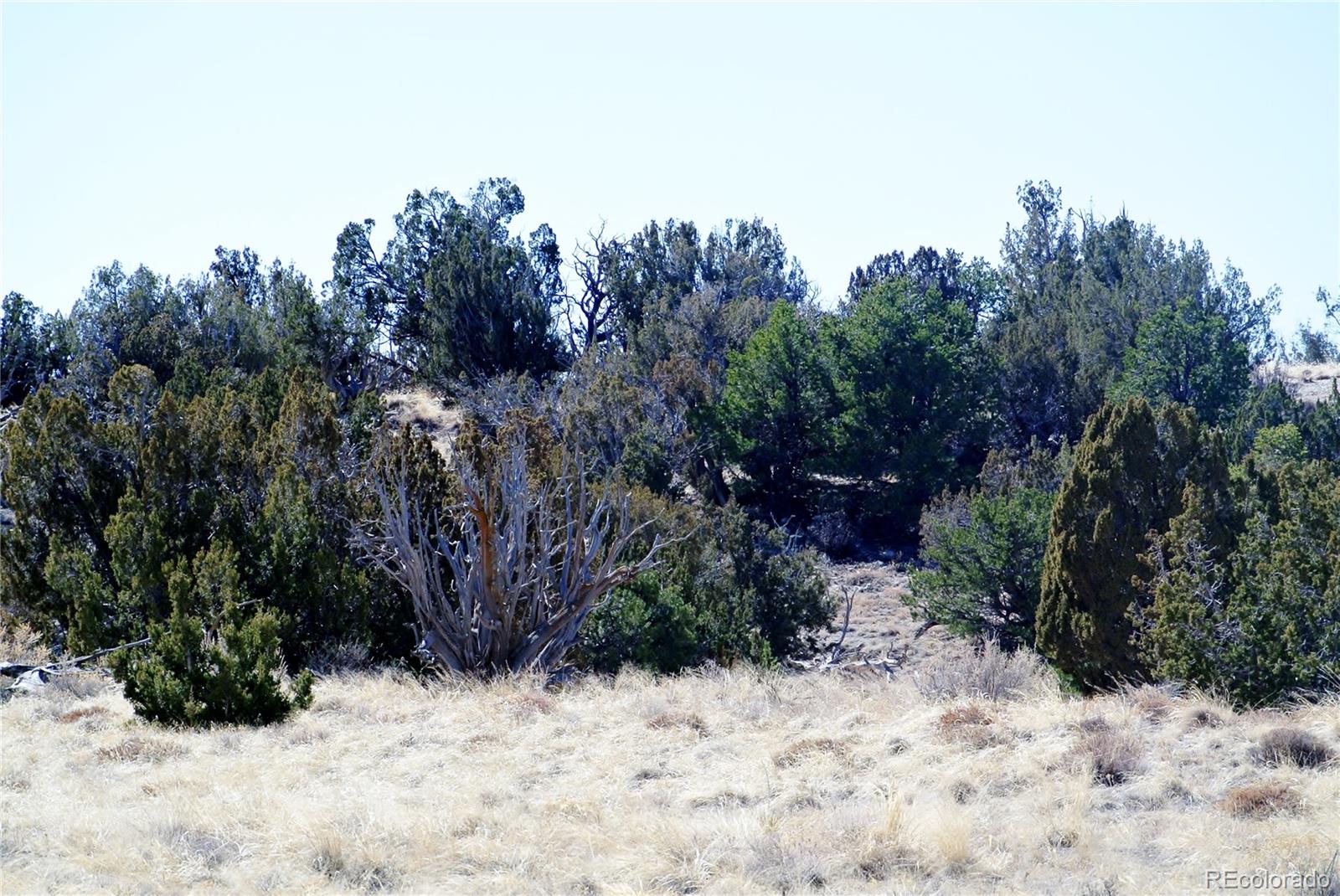 a view of a yard covered in snow