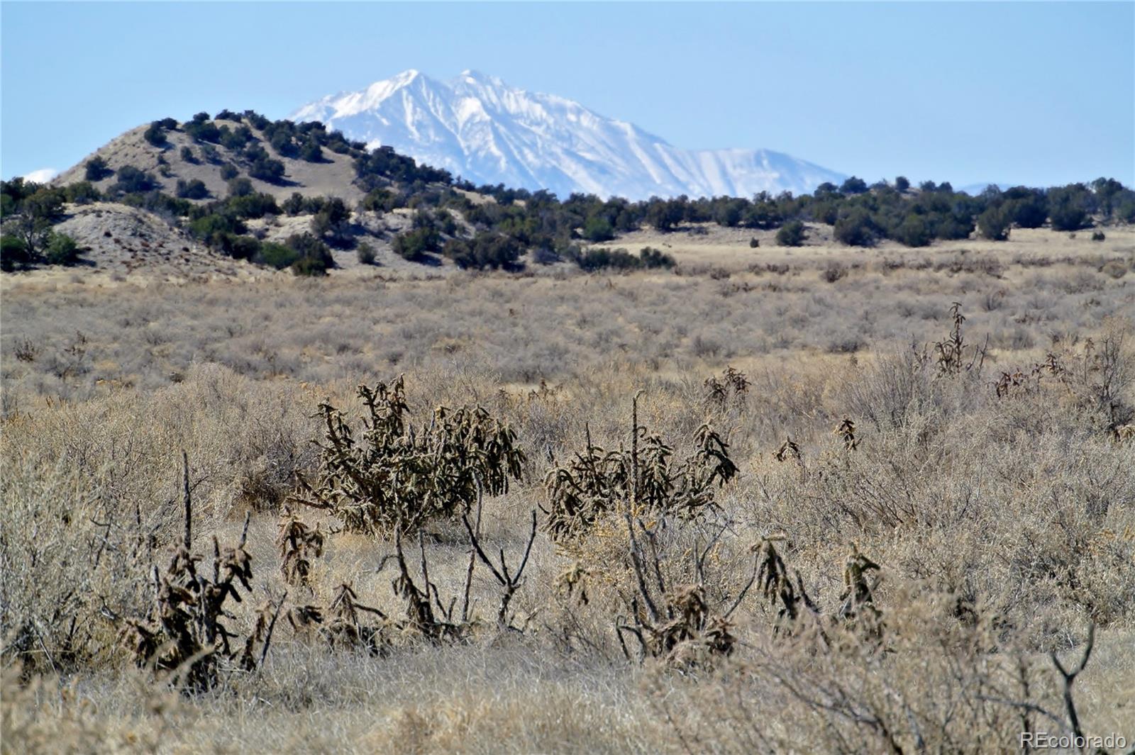 64.8 64.8 Model, CO 81059 - Photo 8 of 8 a view of a dry field