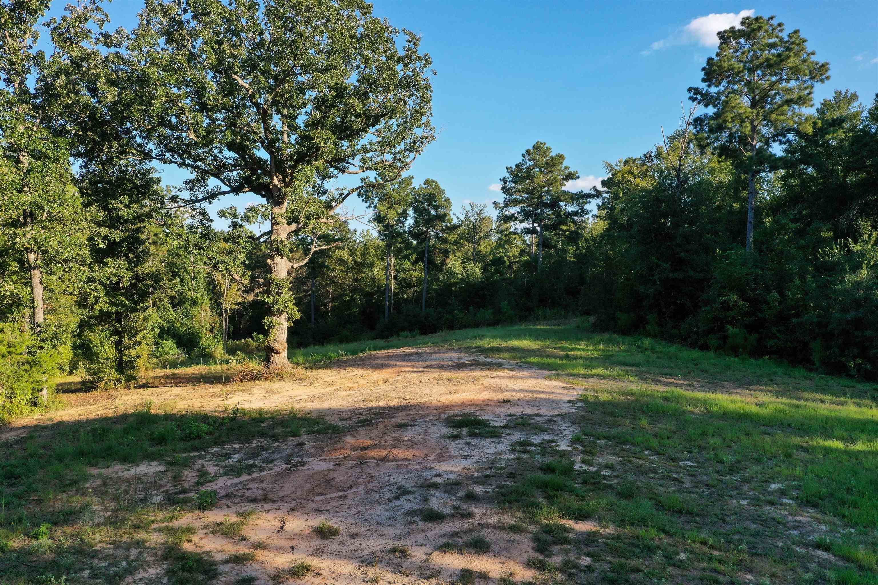 6950 Peter Bonner Road Hallsville, TX 75650 - Photo 1 of 1 Gallery Image 1