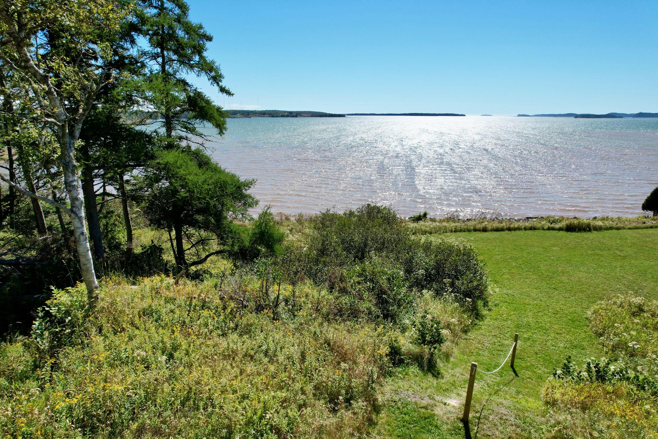 1214 Cutler Road Whiting, ME 04691 - Photo 7 of 50 Waterfront Lot