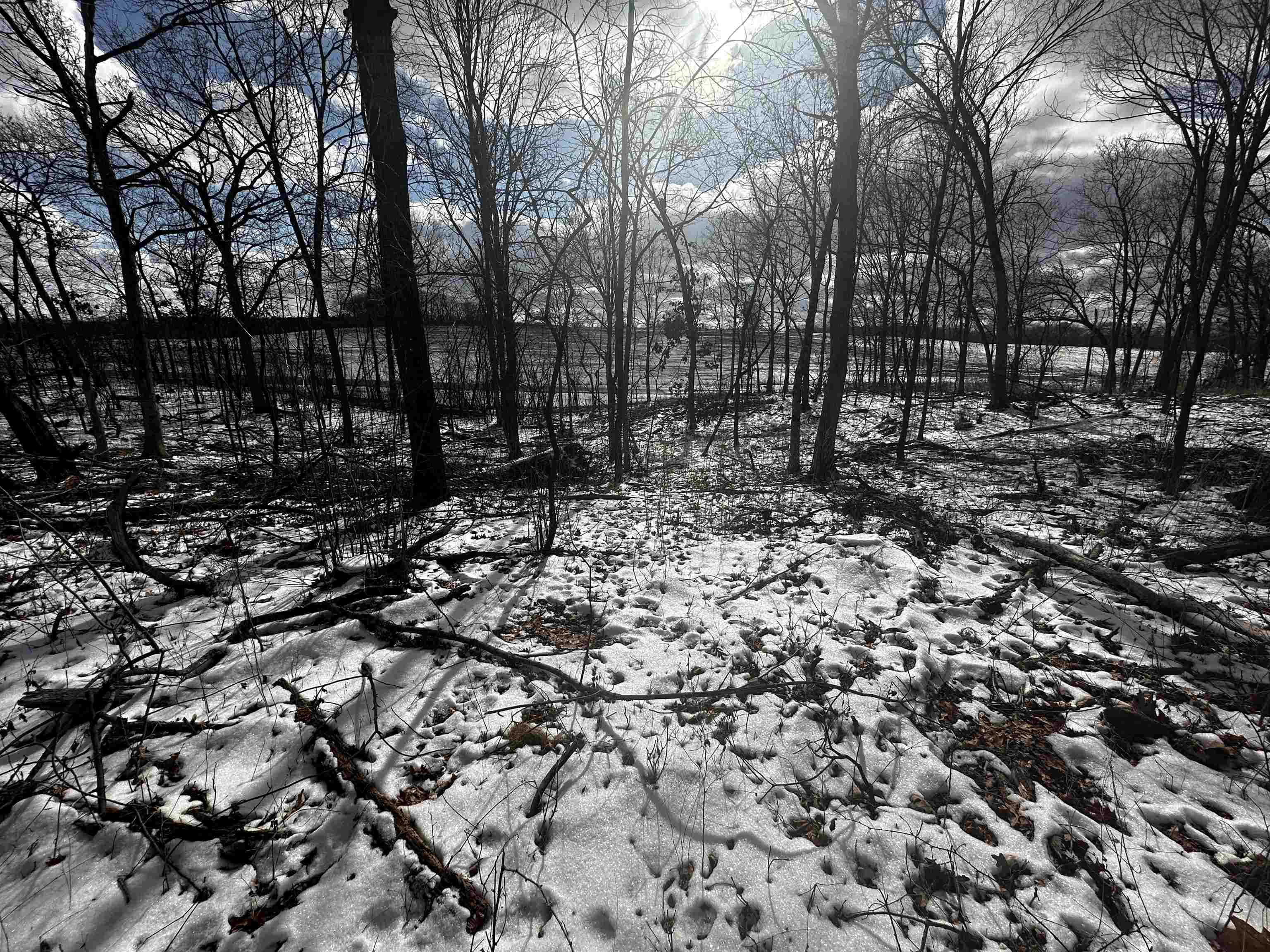 County Road Westfield, WI 53964 - Photo 11 of 29