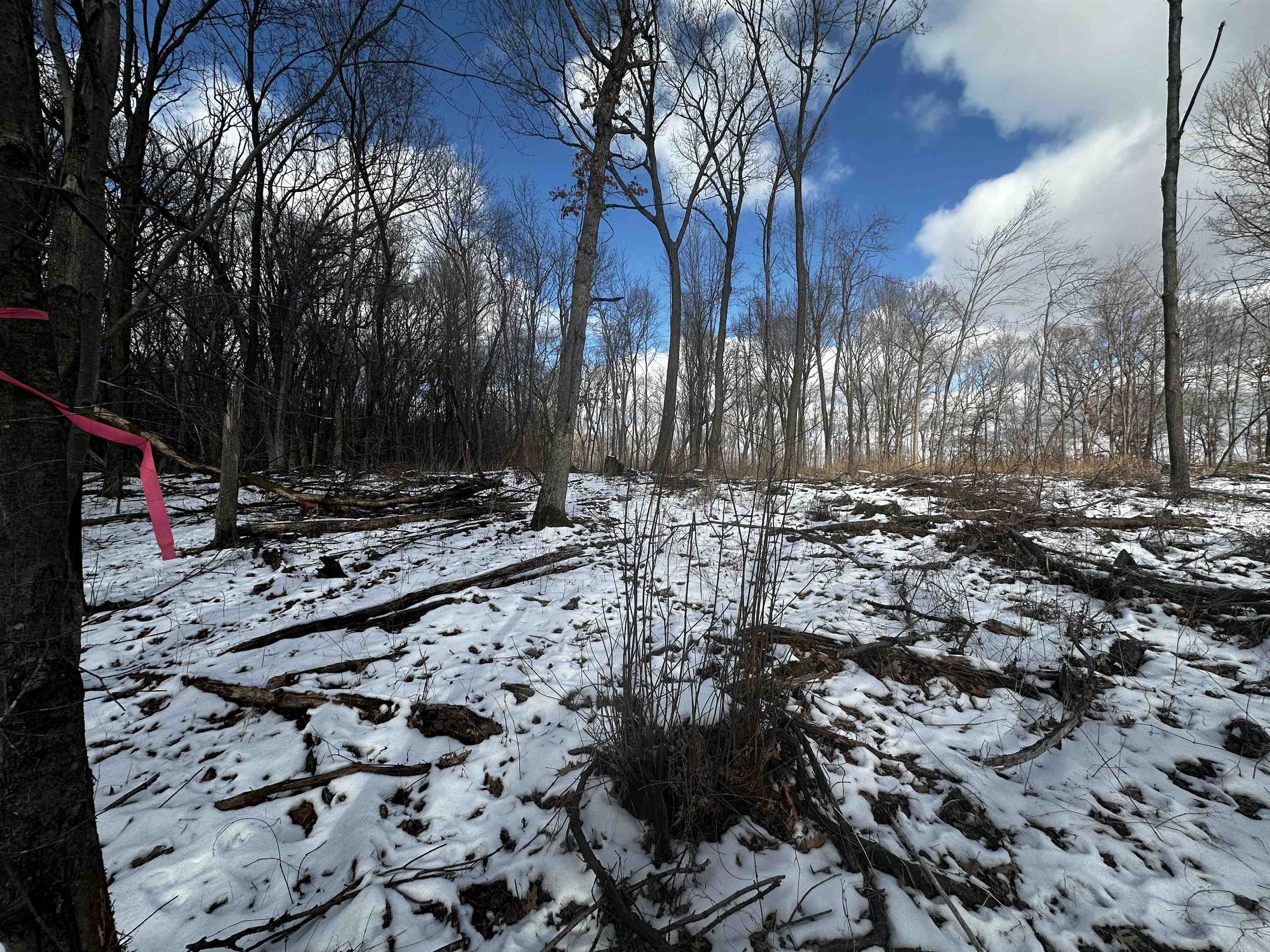 County Road Westfield, WI 53964 - Photo 12 of 29