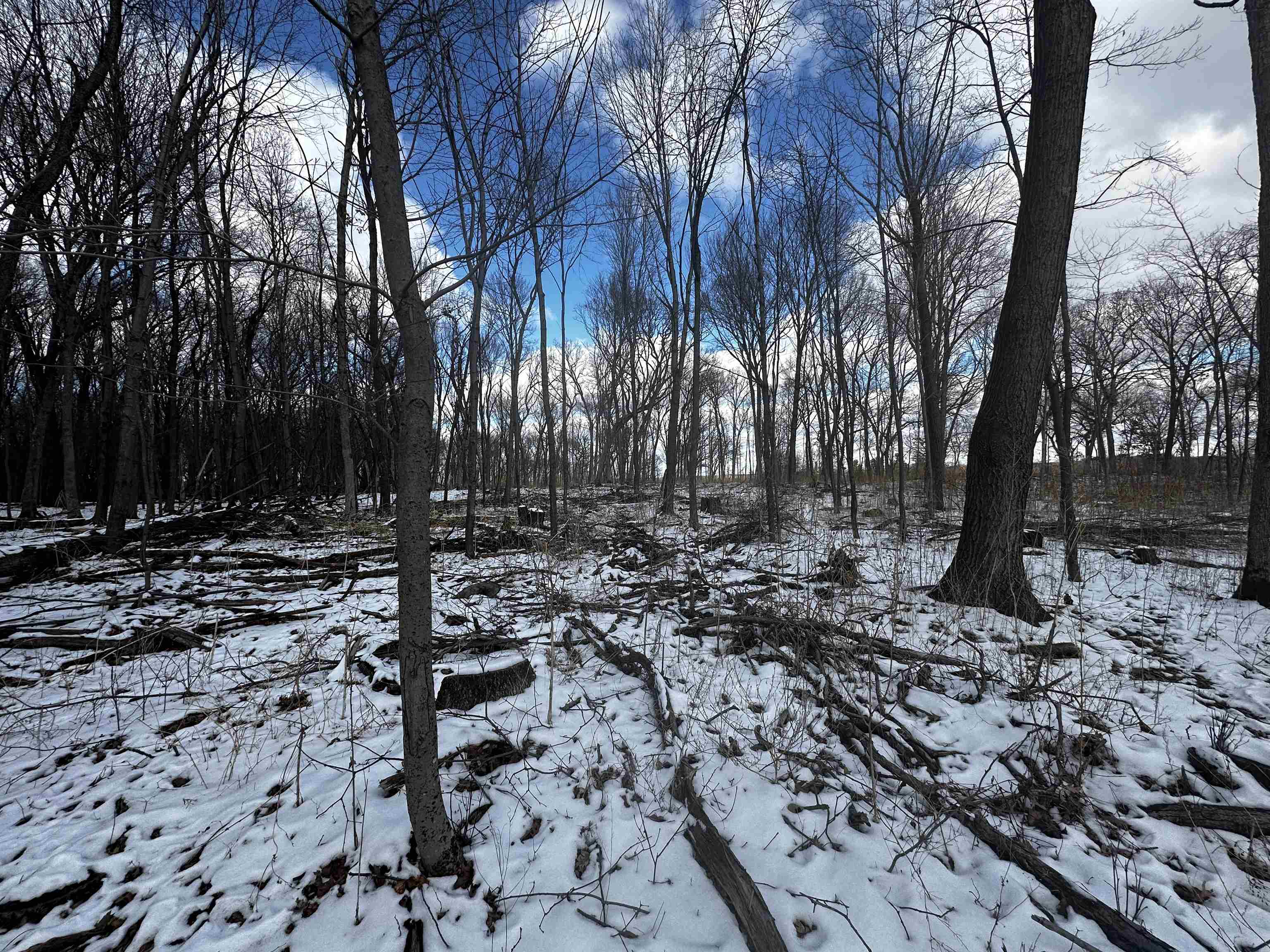 County Road Westfield, WI 53964 - Photo 13 of 29