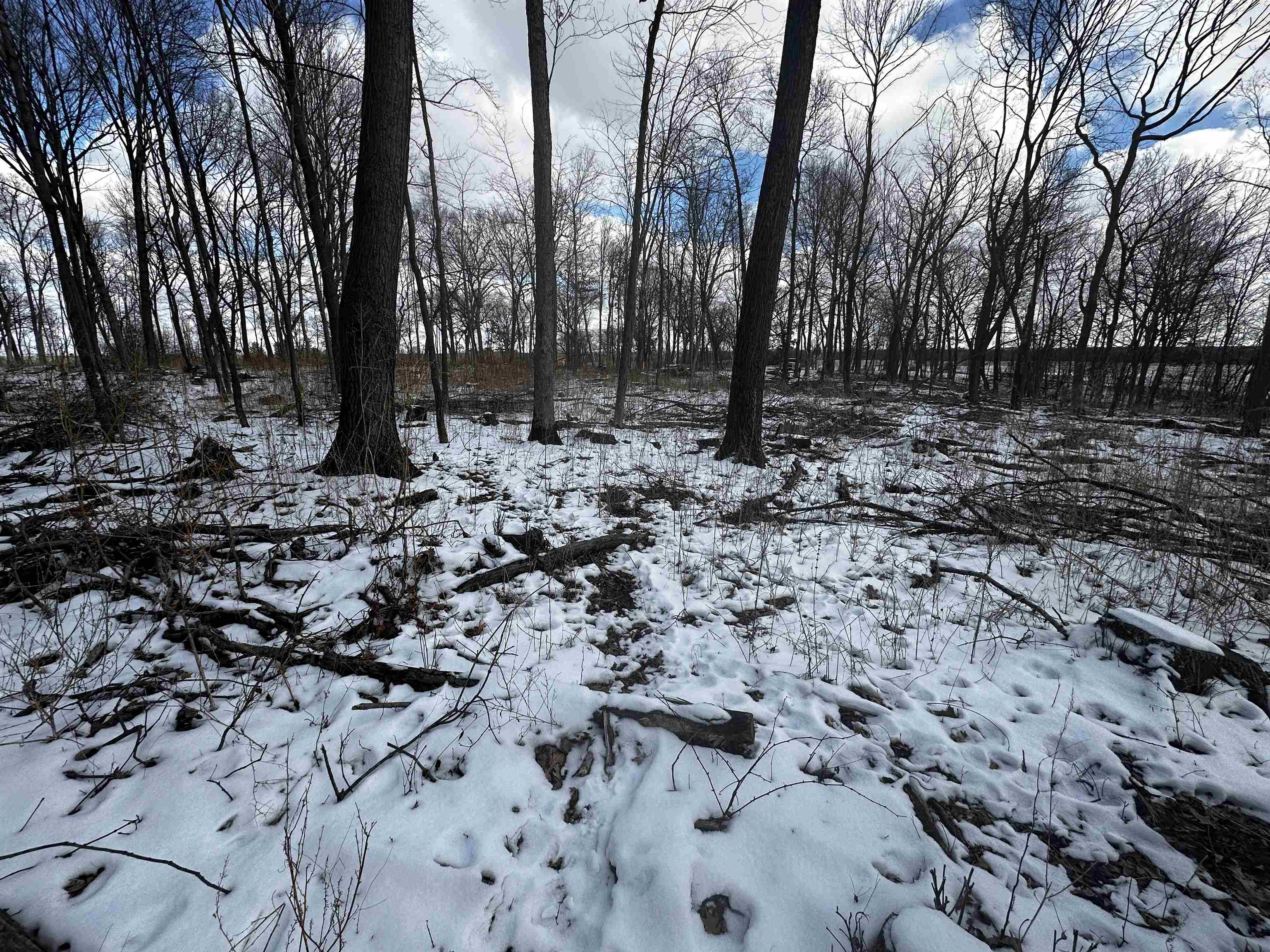 County Road Westfield, WI 53964 - Photo 14 of 29