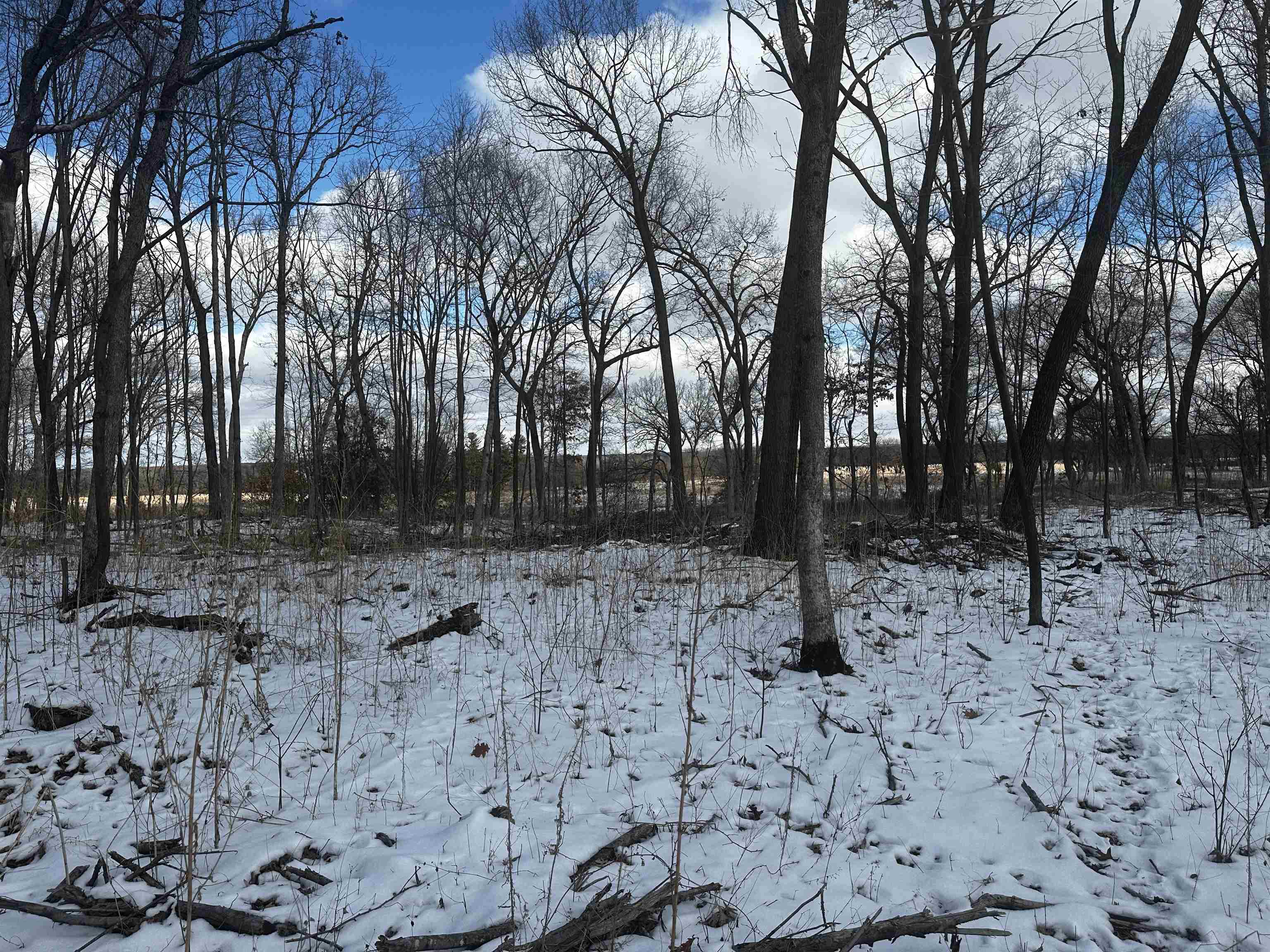 County Road Westfield, WI 53964 - Photo 15 of 29