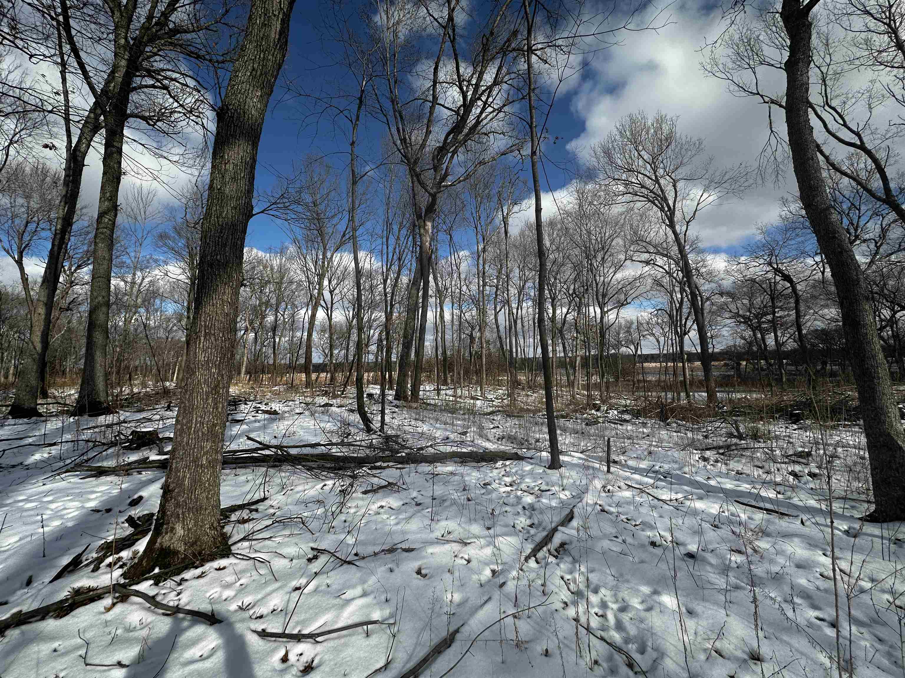 County Road Westfield, WI 53964 - Photo 16 of 29