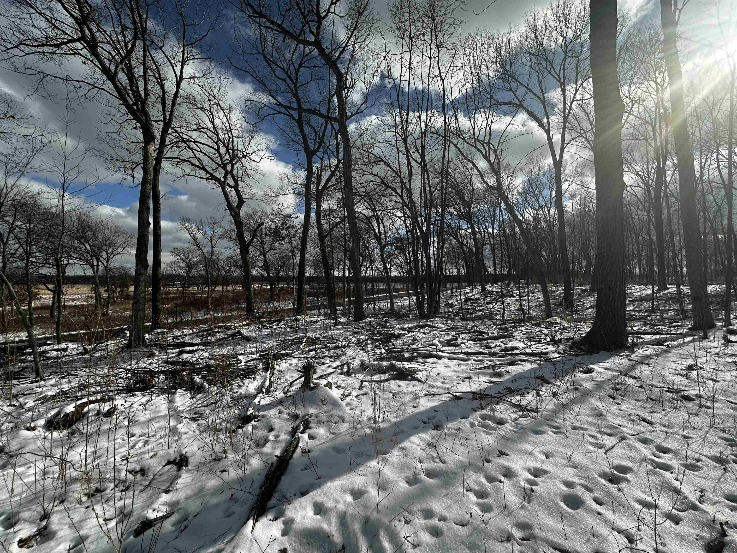 County Road Westfield, WI 53964 - Photo 18 of 29